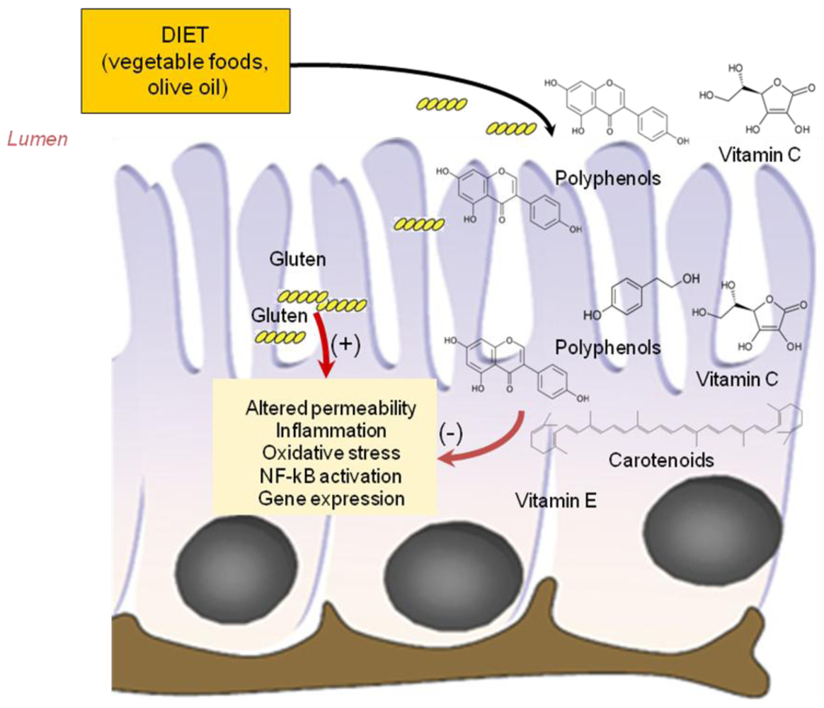 Nutrients 04 00243 g003