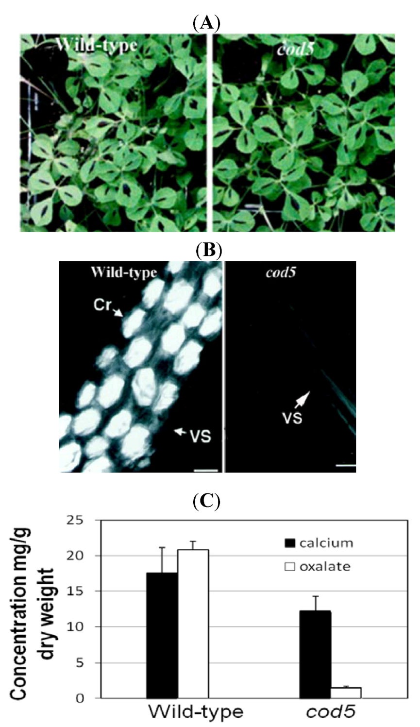 Nutrients 04 01120 g002