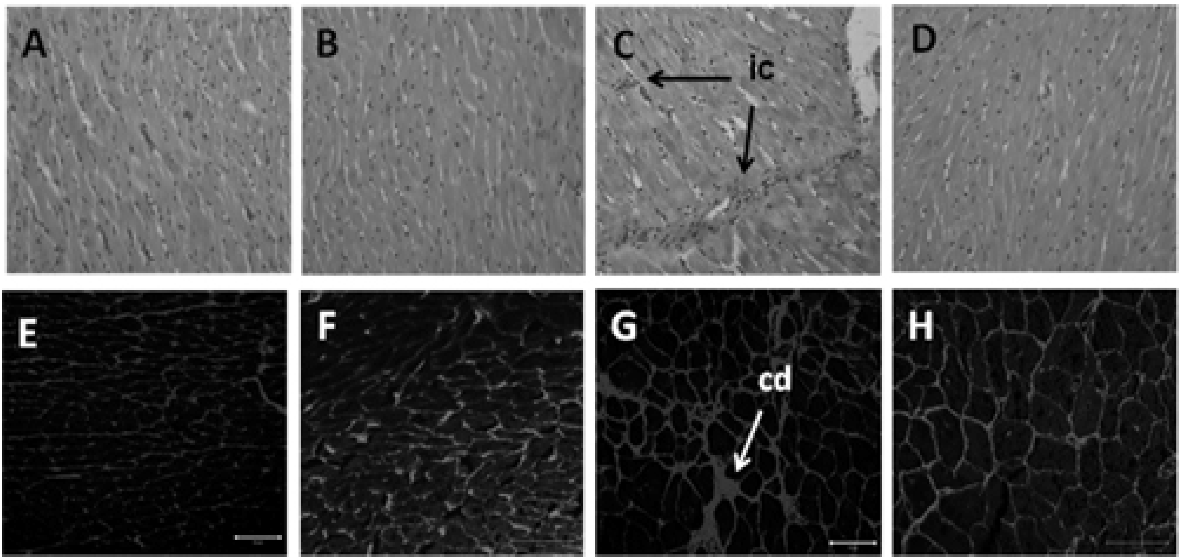 Nutrients 04 01527 g003