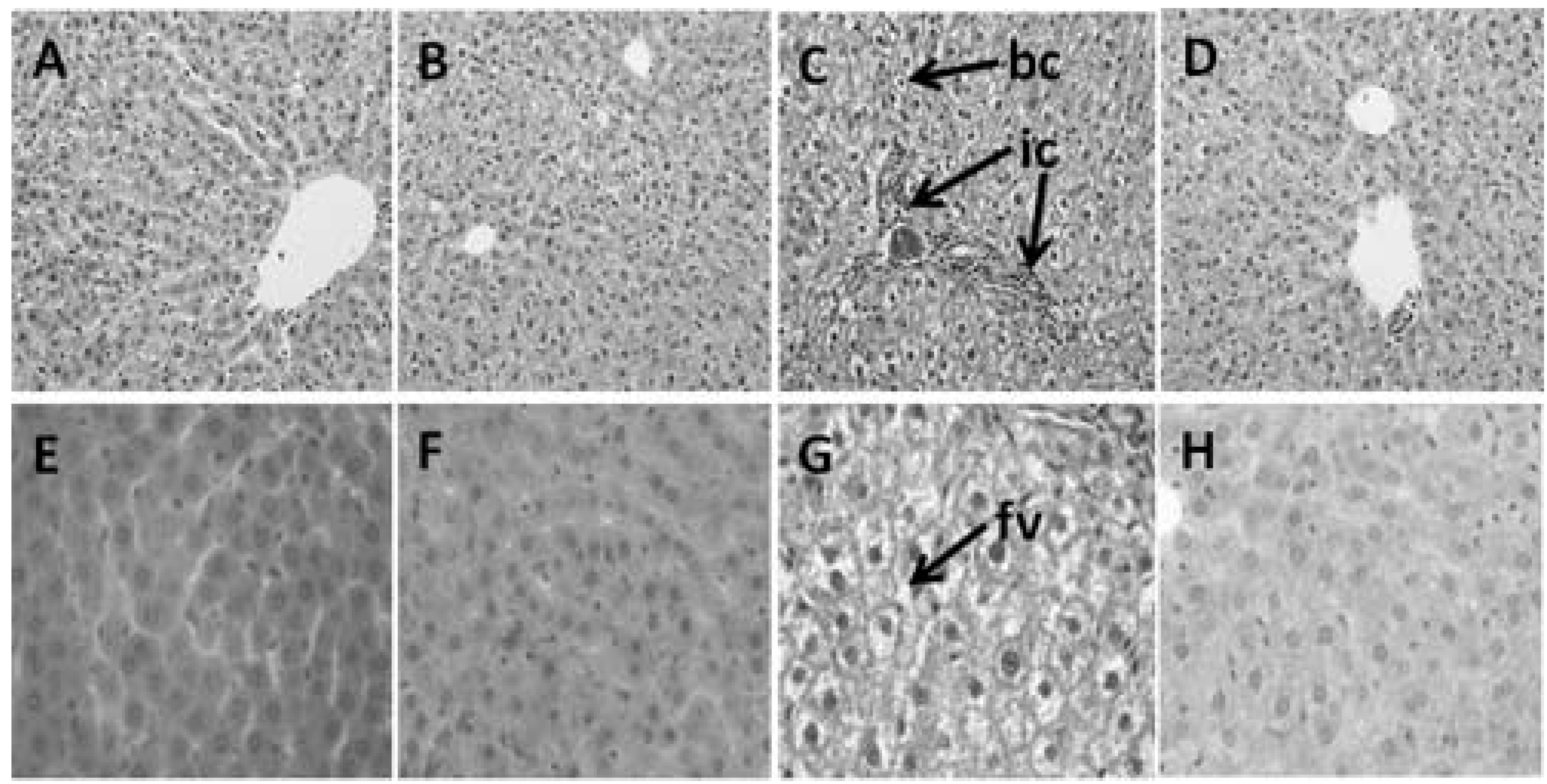 Nutrients 04 01527 g005