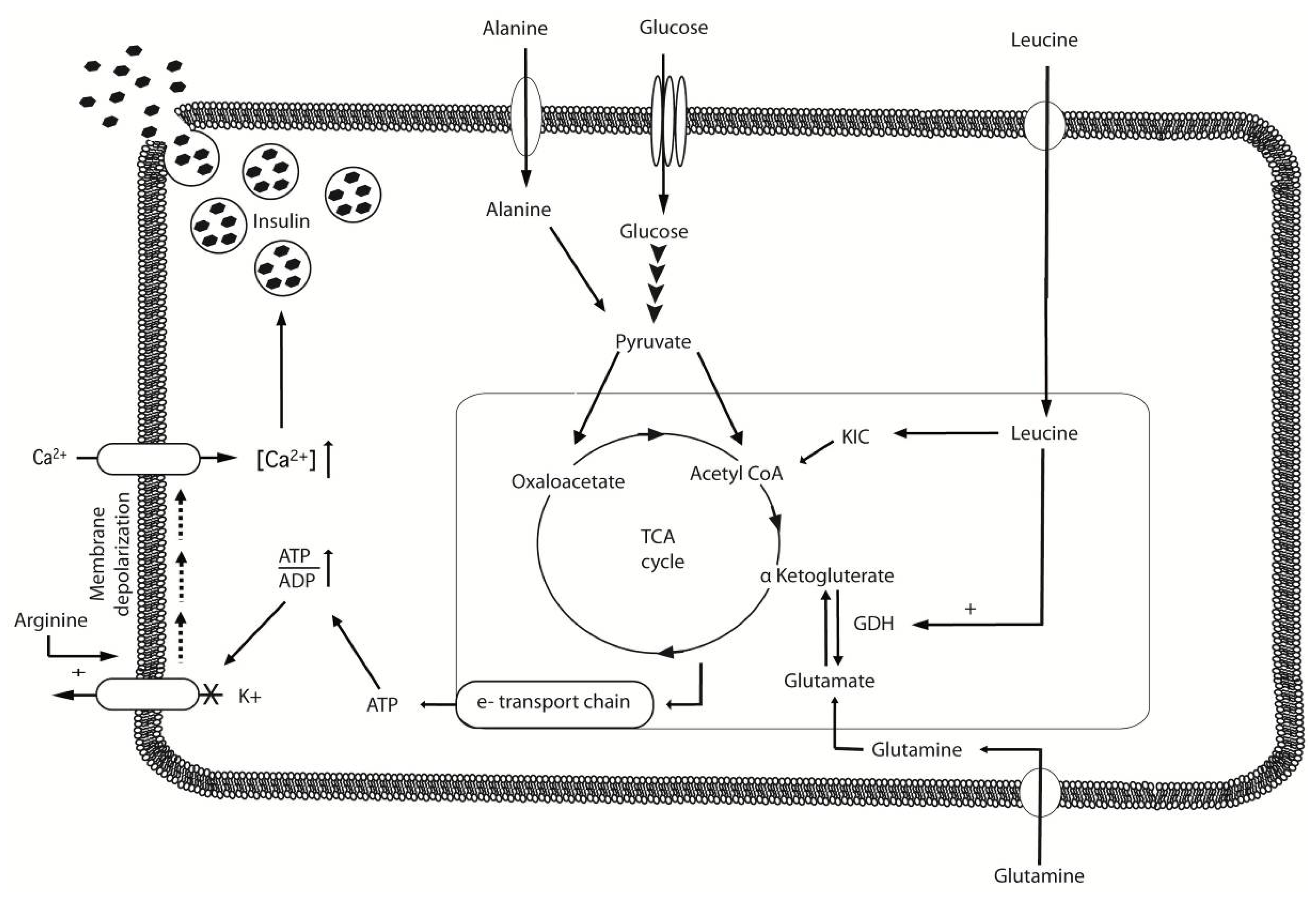 Nutrients 04 01664 g001