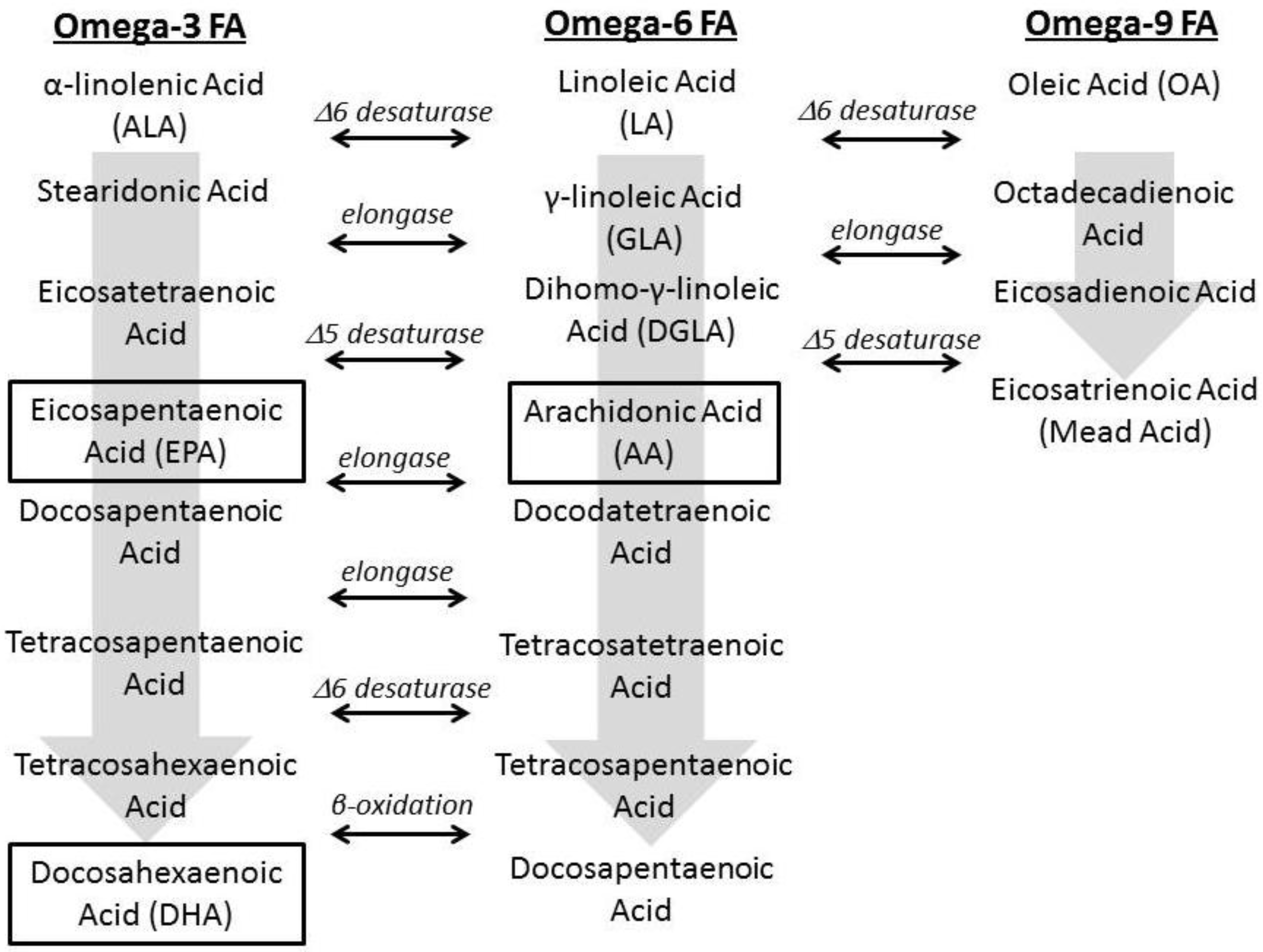 Nutrients 04 01828 g001