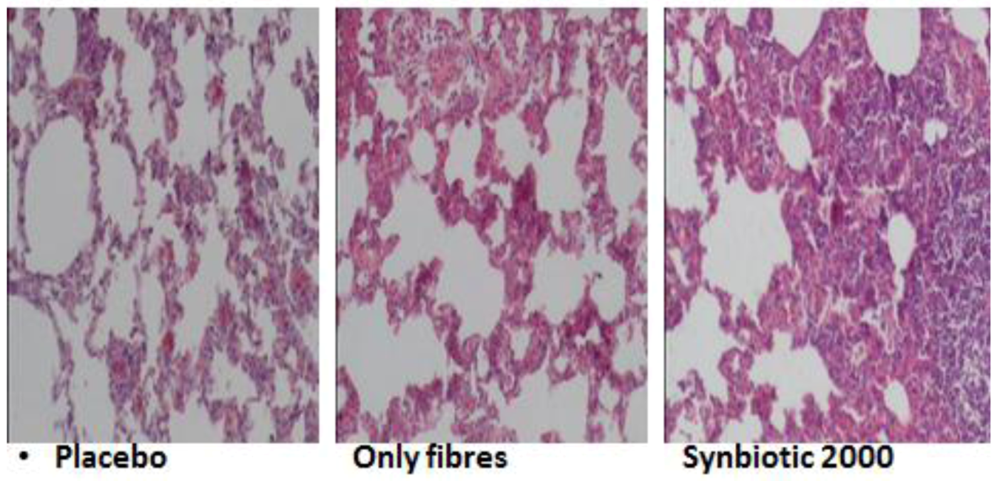 Nutrients 05 00162 g001