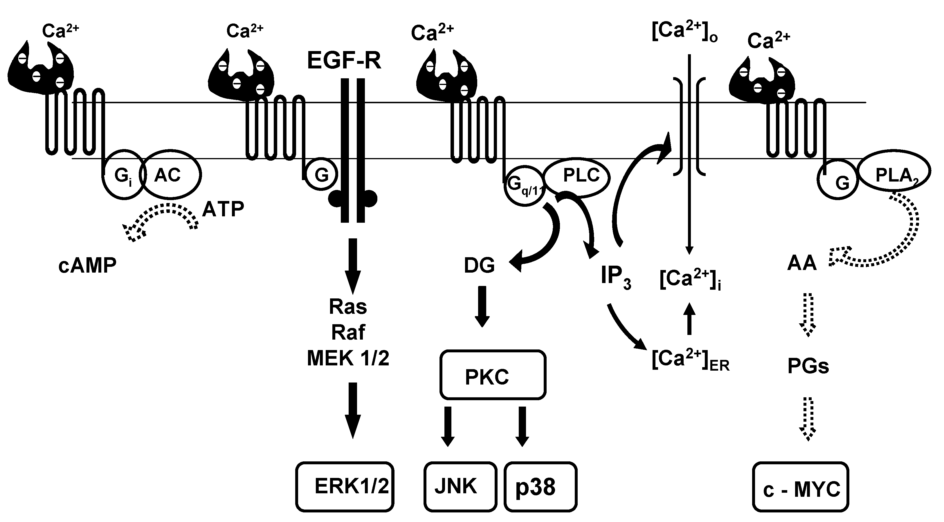 Nutrients 05 00302 g001 1024