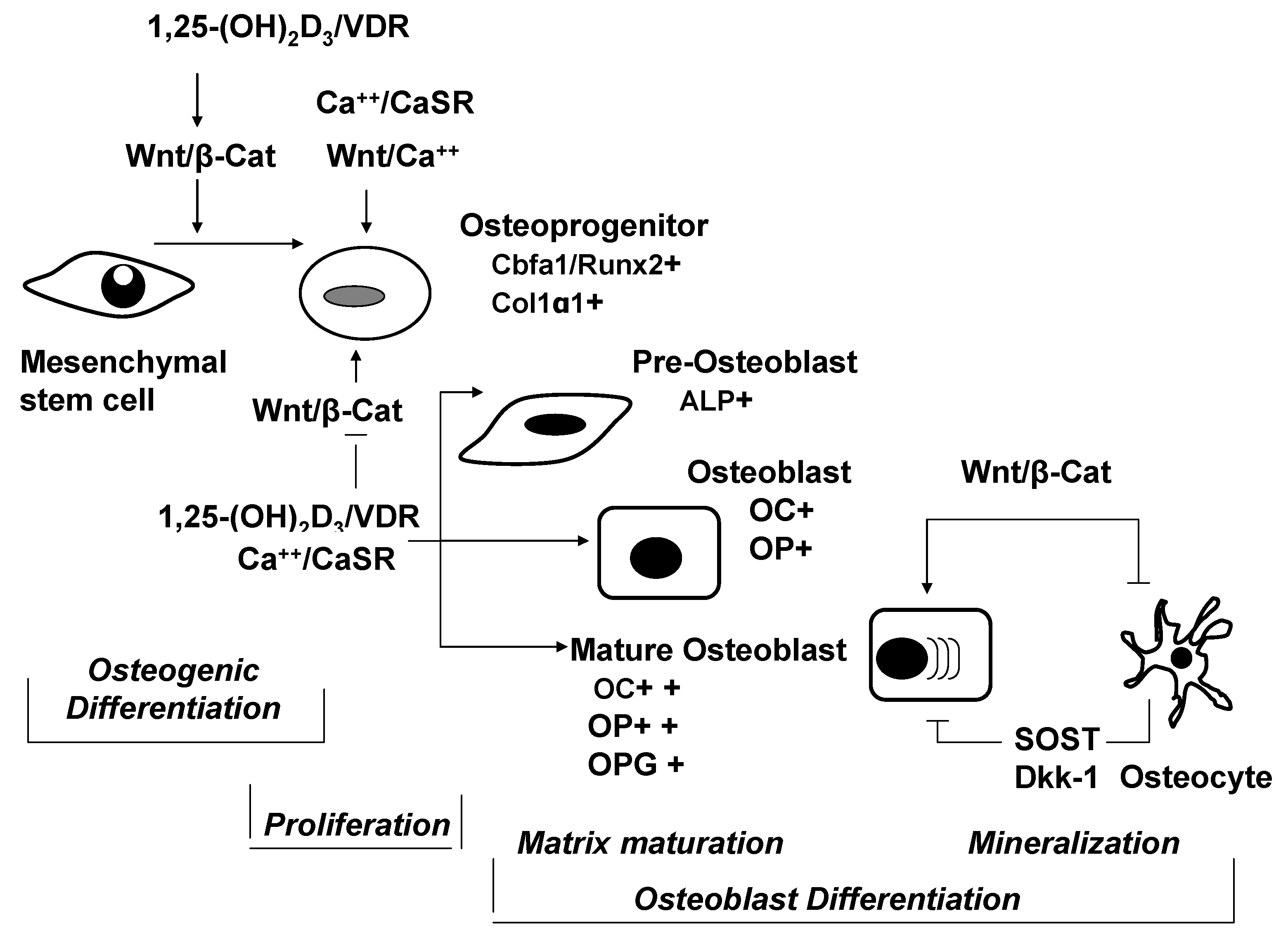 Nutrients 05 00302 g002 1024