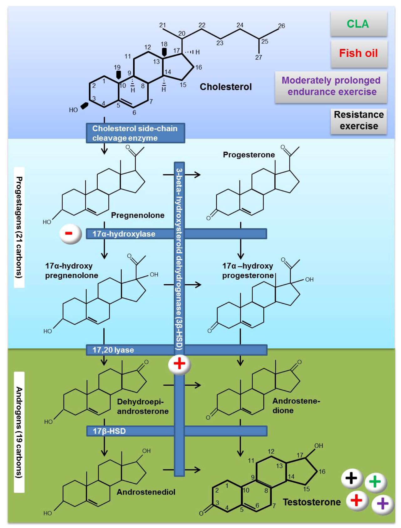 Nutrients 05 00509 g002 1024