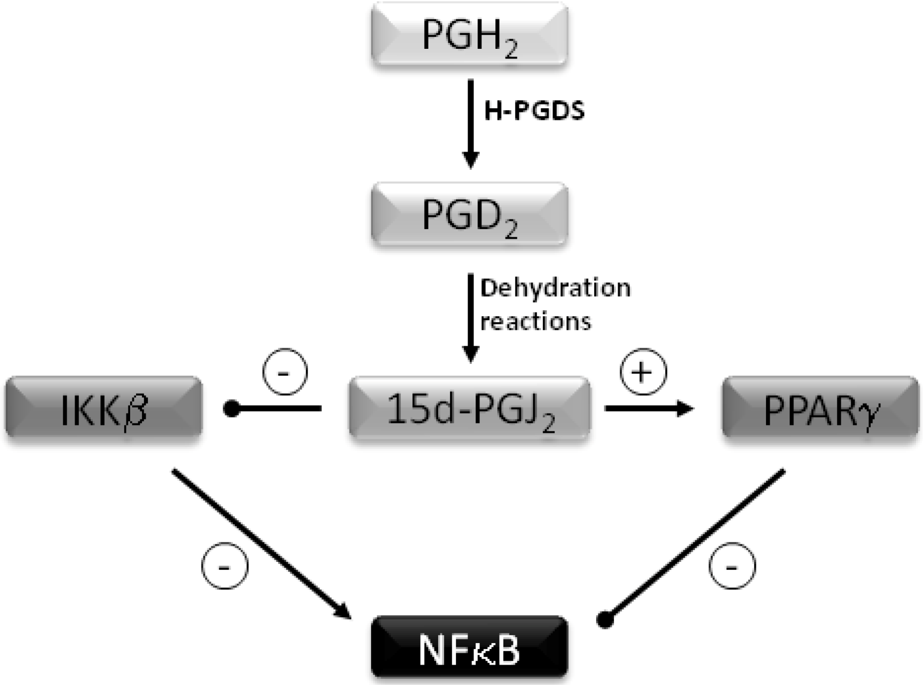 Nutrients 05 00758 g001