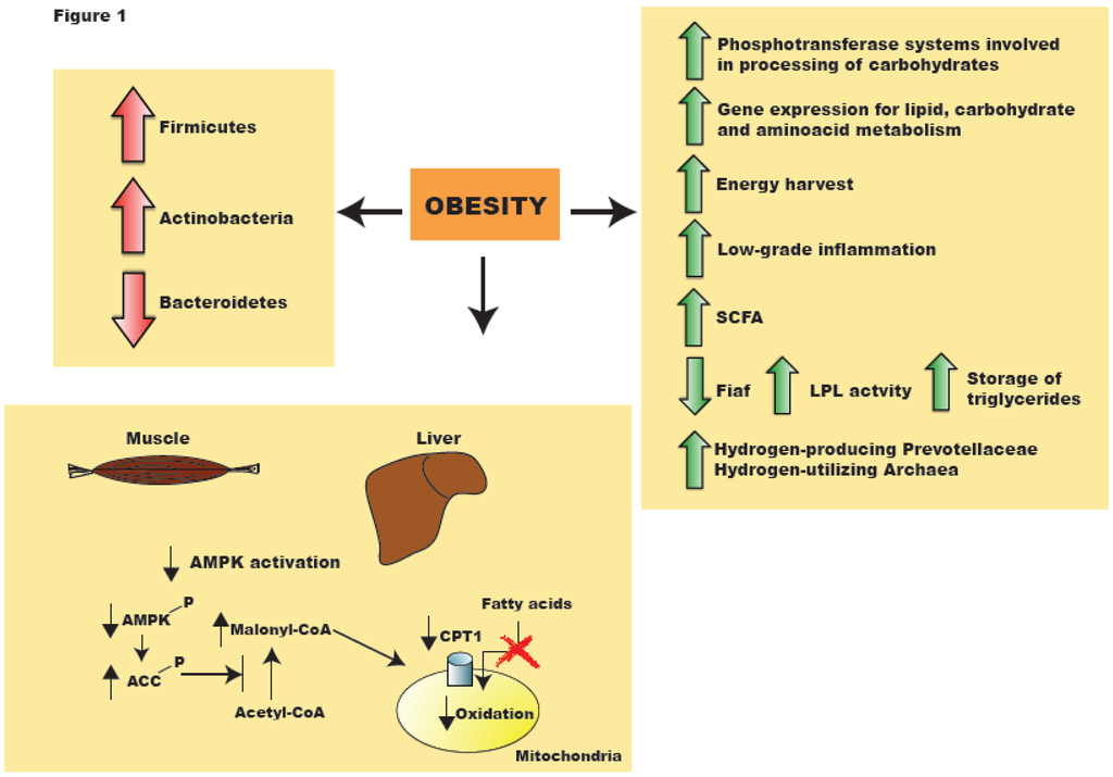 Nutrients, Free Full-Text