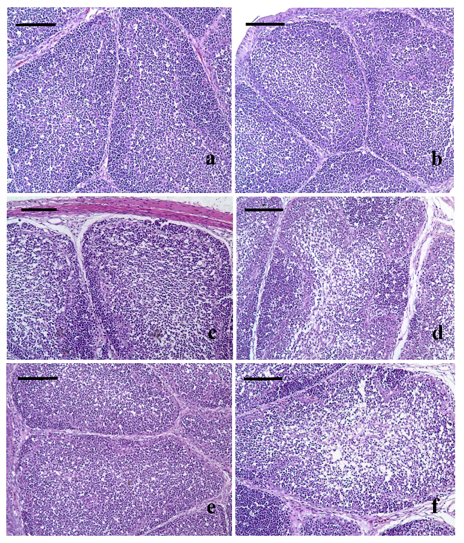 Nutrients 05 00877 g001