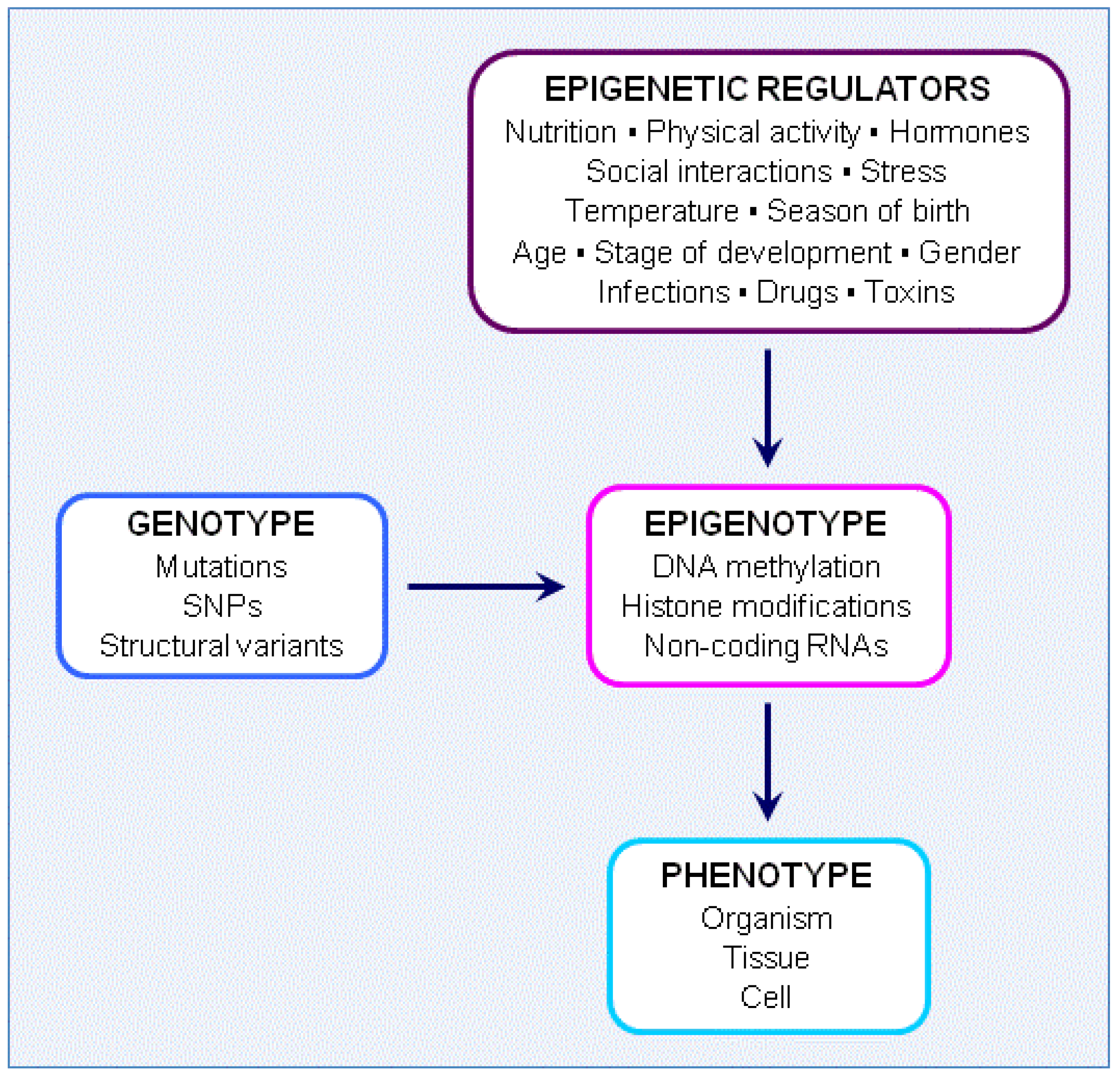 Nutrients 05 00887 g002
