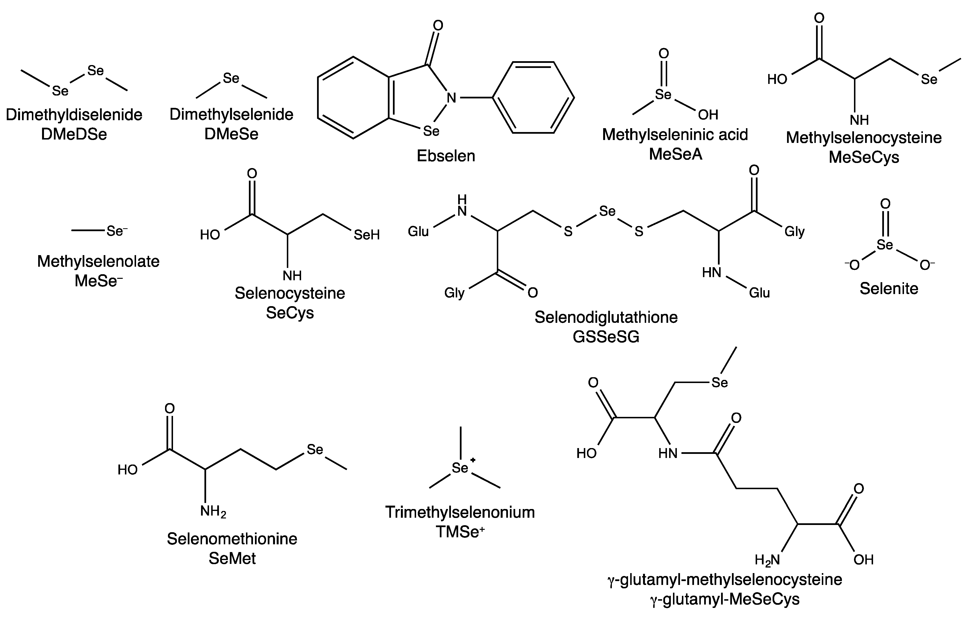 Nutrients 05 01734 g001