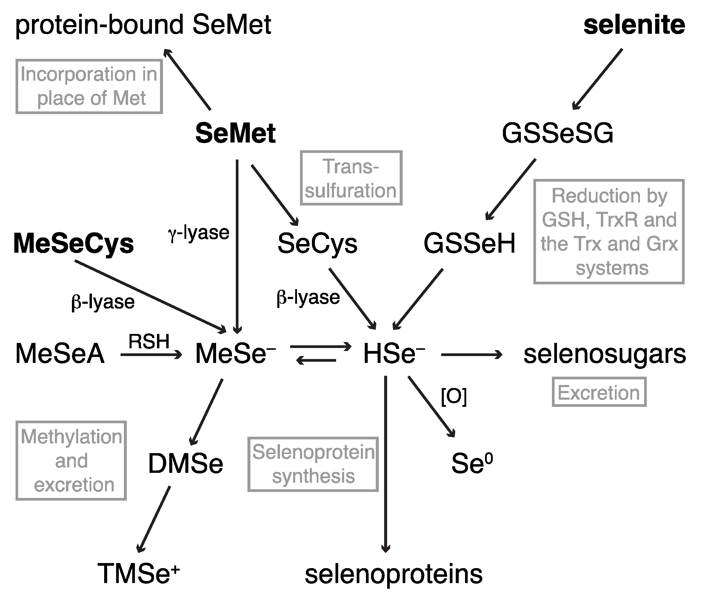 Nutrients 05 01734 g002