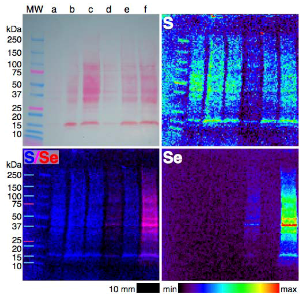 Nutrients 05 01734 g005