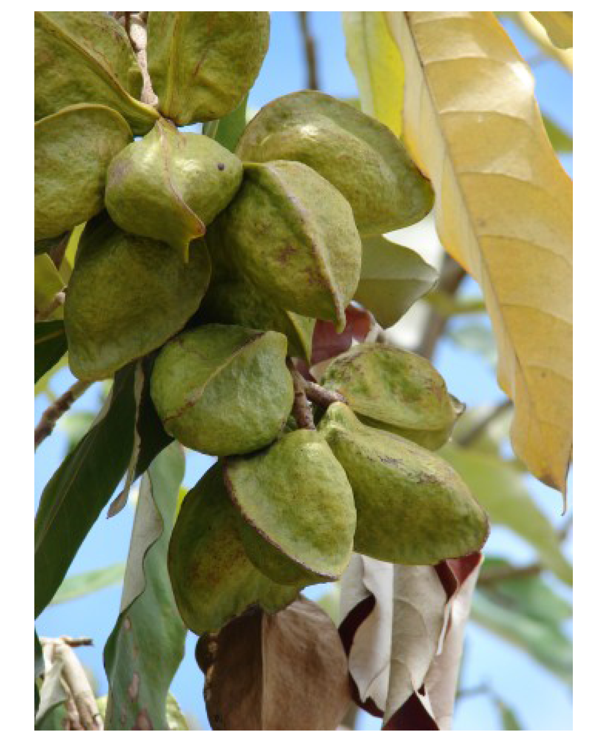 Nutrients 05 01757 g003