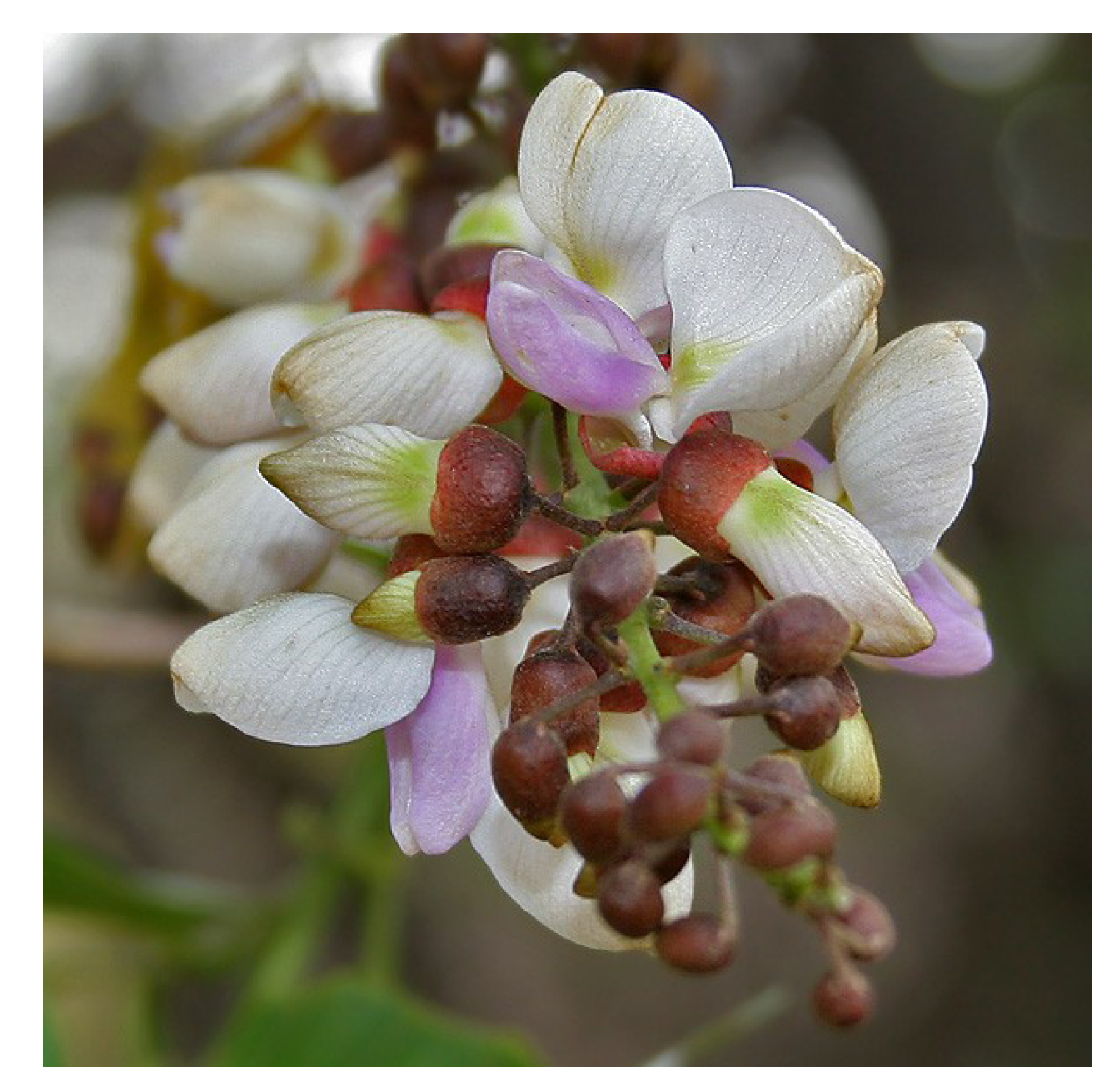 Nutrients 05 01757 g007