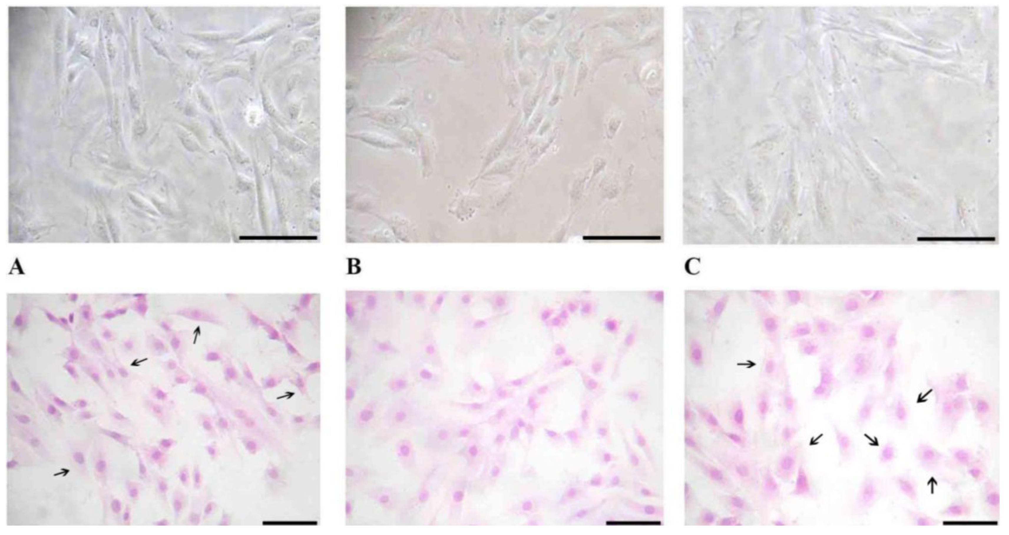 Nutrients 05 02076 g004 1024