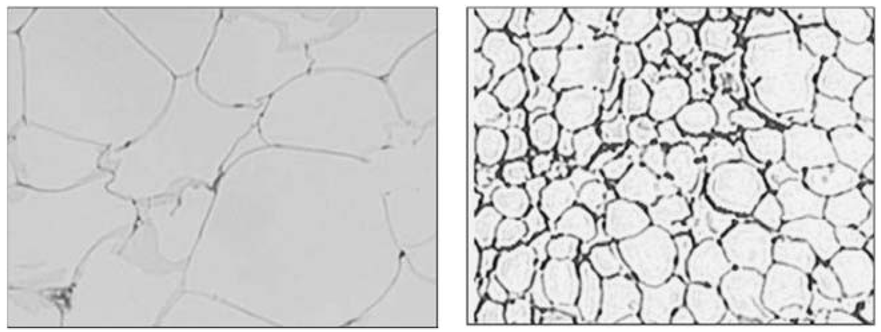 Nutrients 05 02708 g001 1024