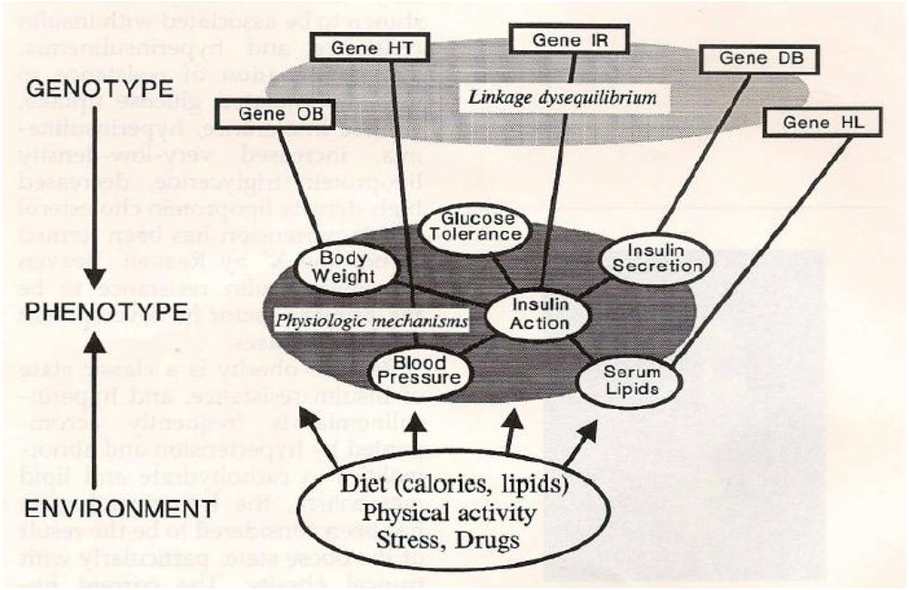 Nutrients 05 02901 g001