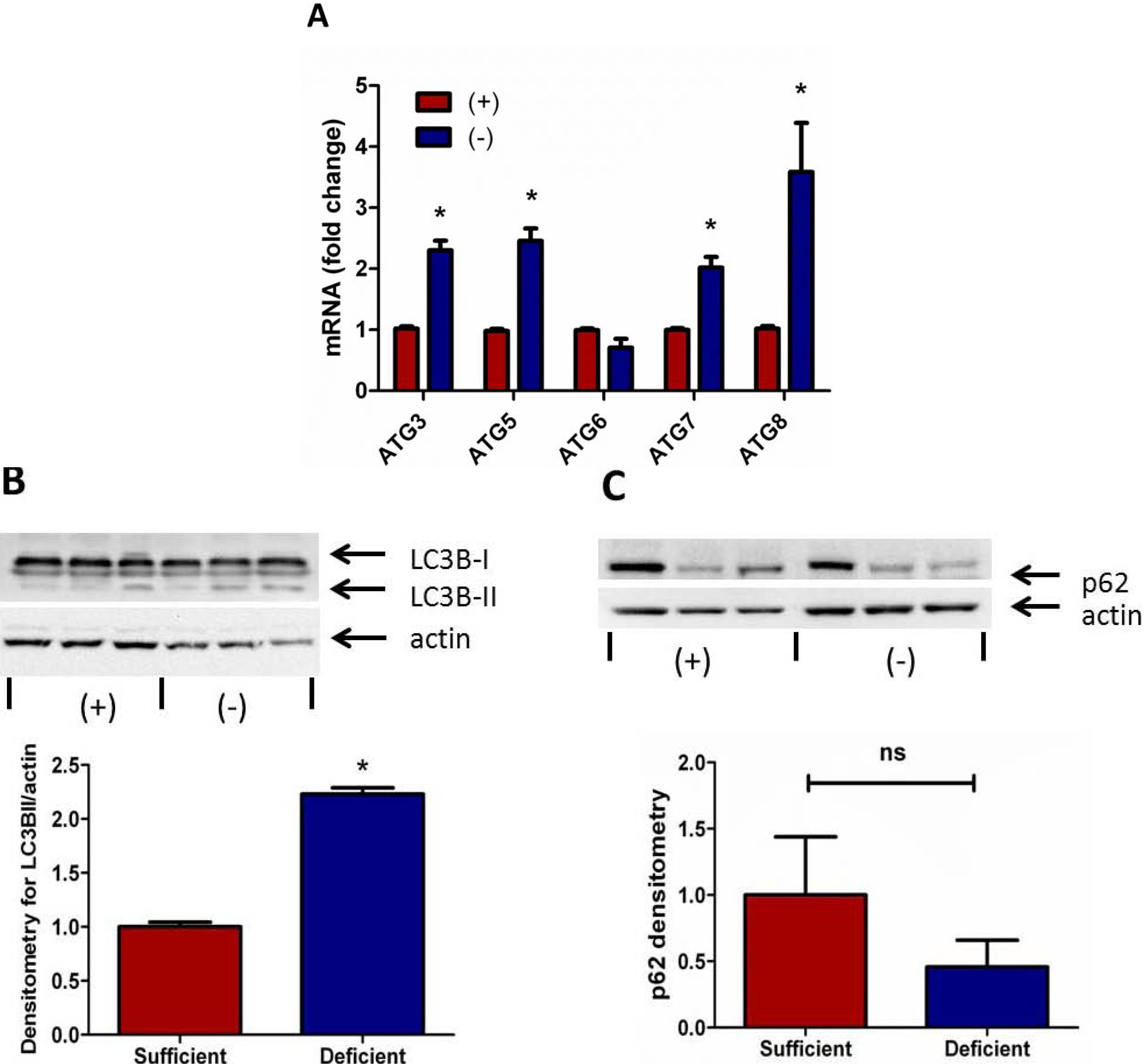 Nutrients 05 03131 g003
