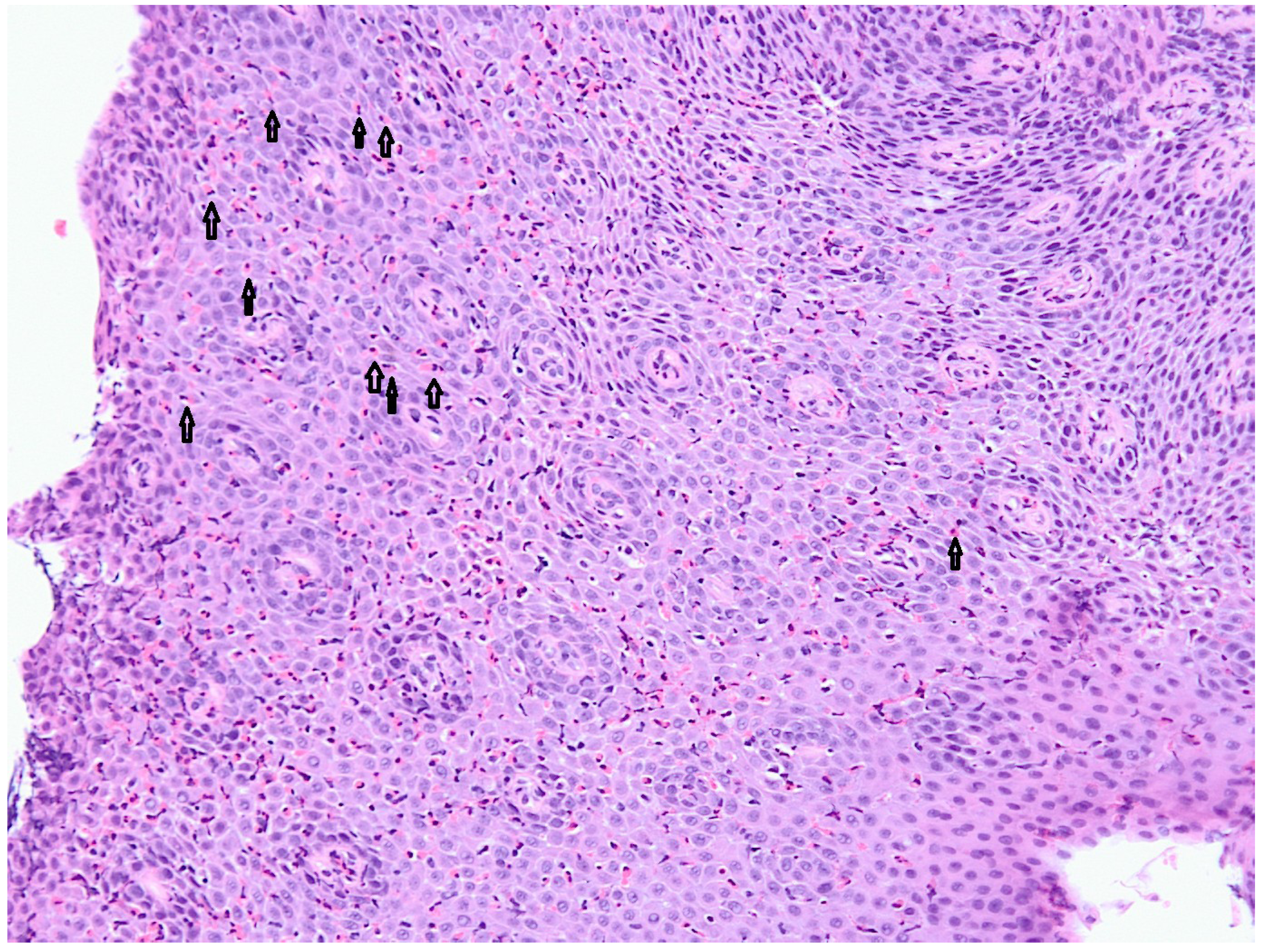 Nutrients 05 03329 g001 1024