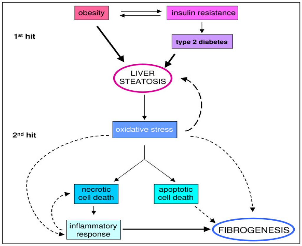 Nutrients, Free Full-Text