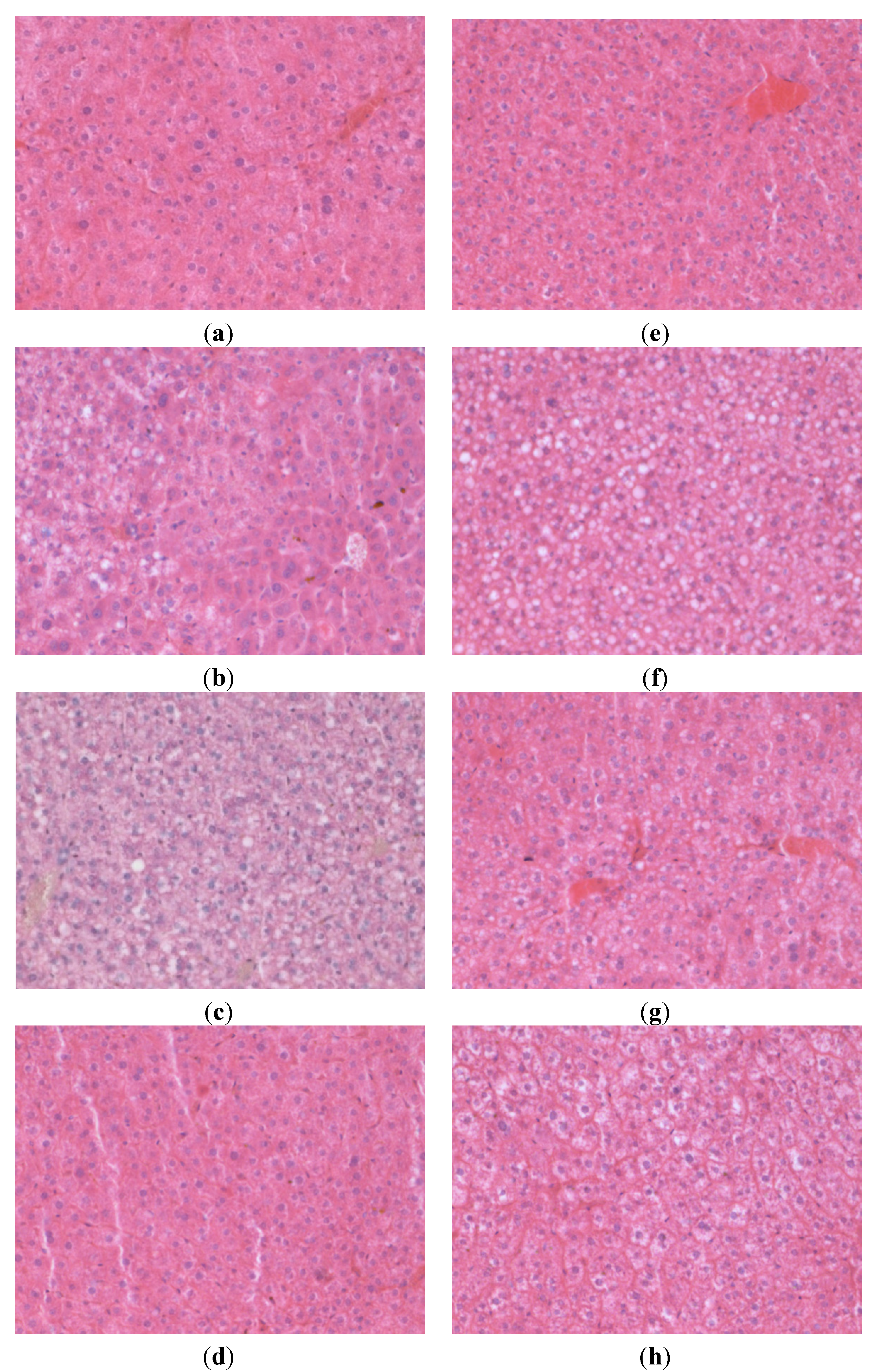 Nutrients 05 04211 g002