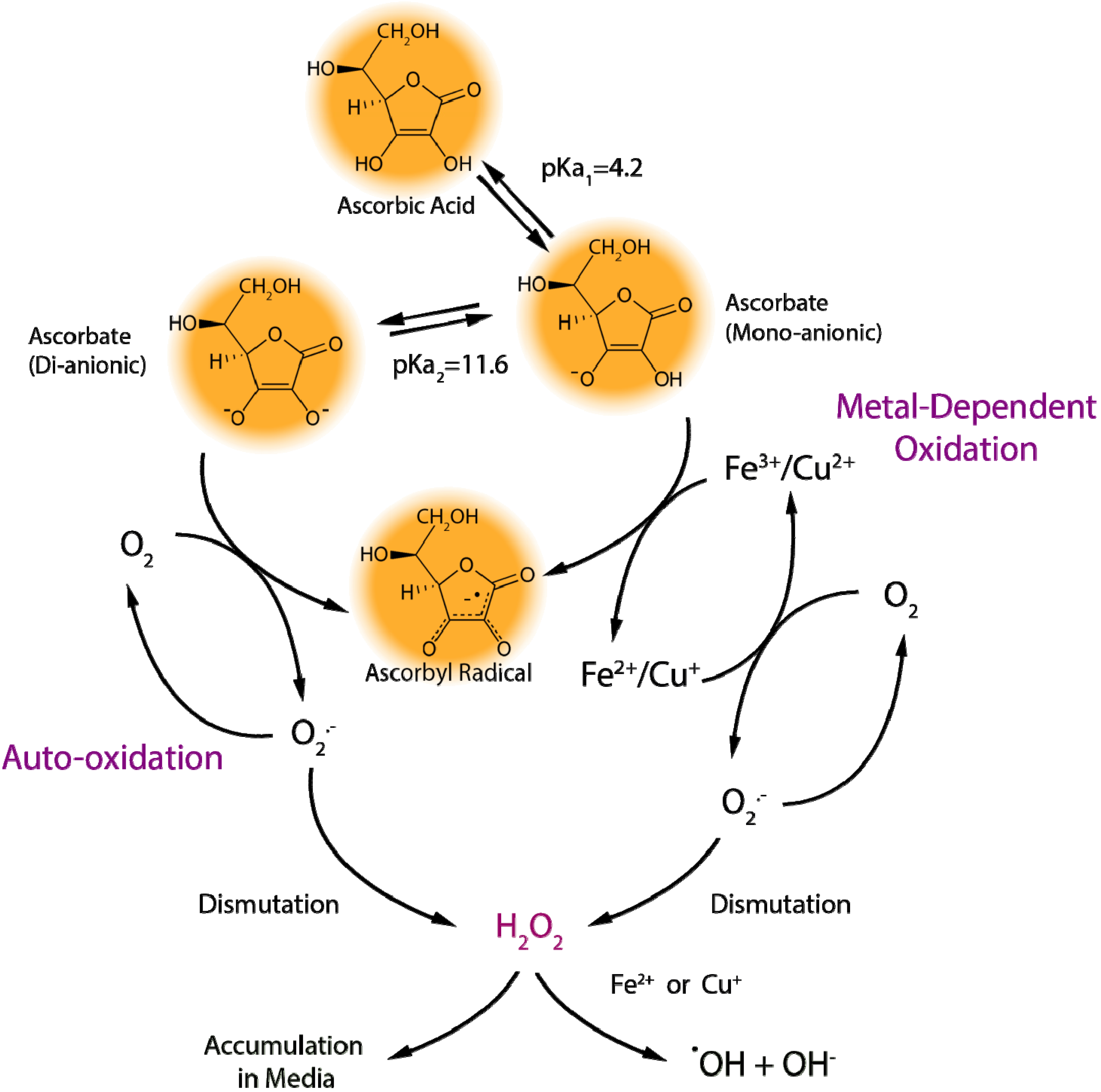 Nutrients 05 05161 g004