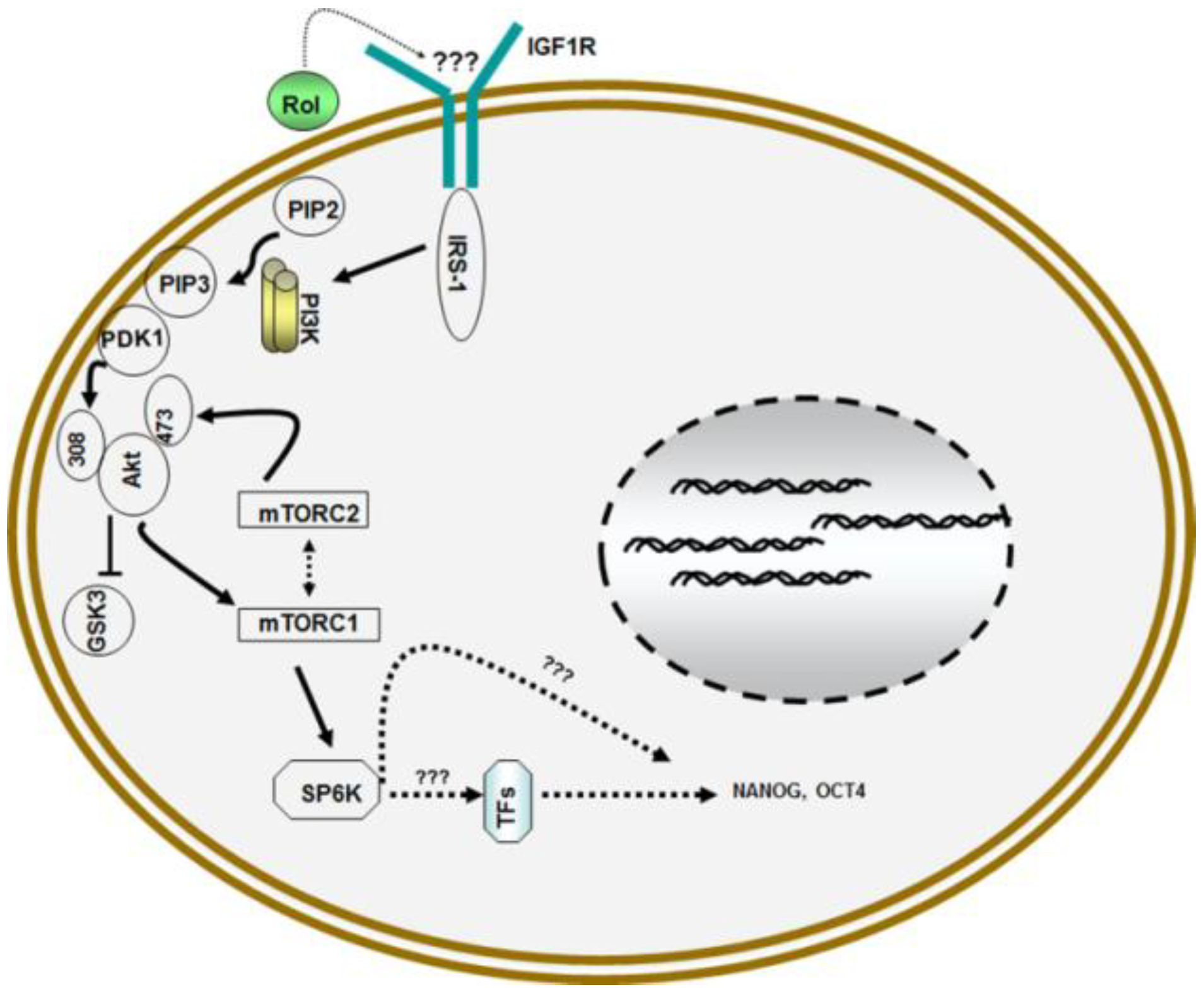 Nutrients 06 01209 g002