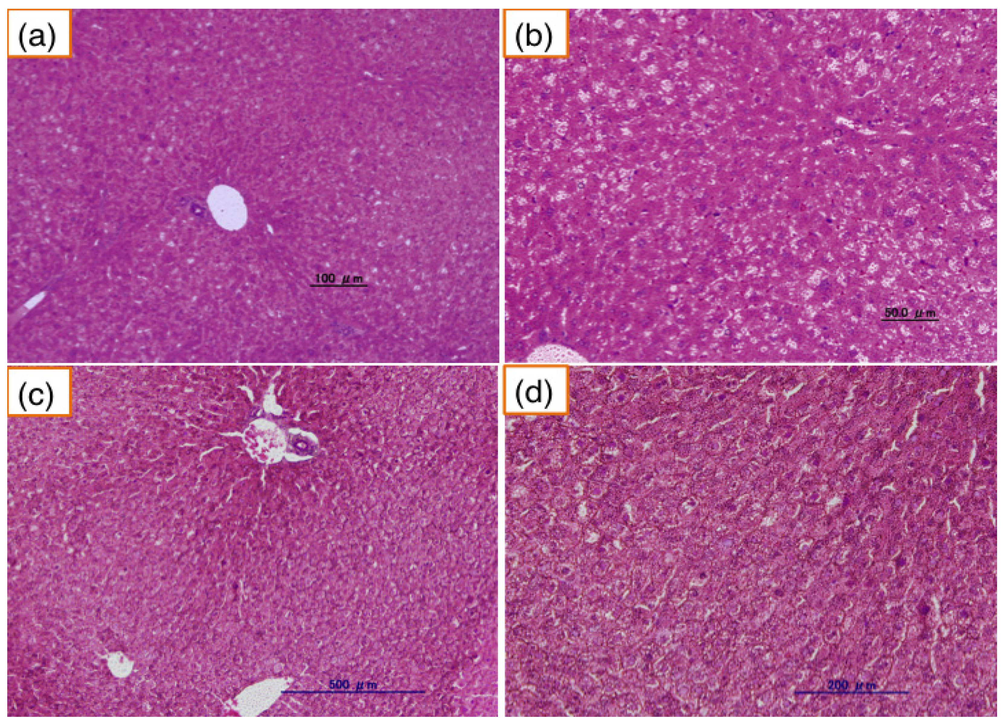Nutrients 06 01236 g005