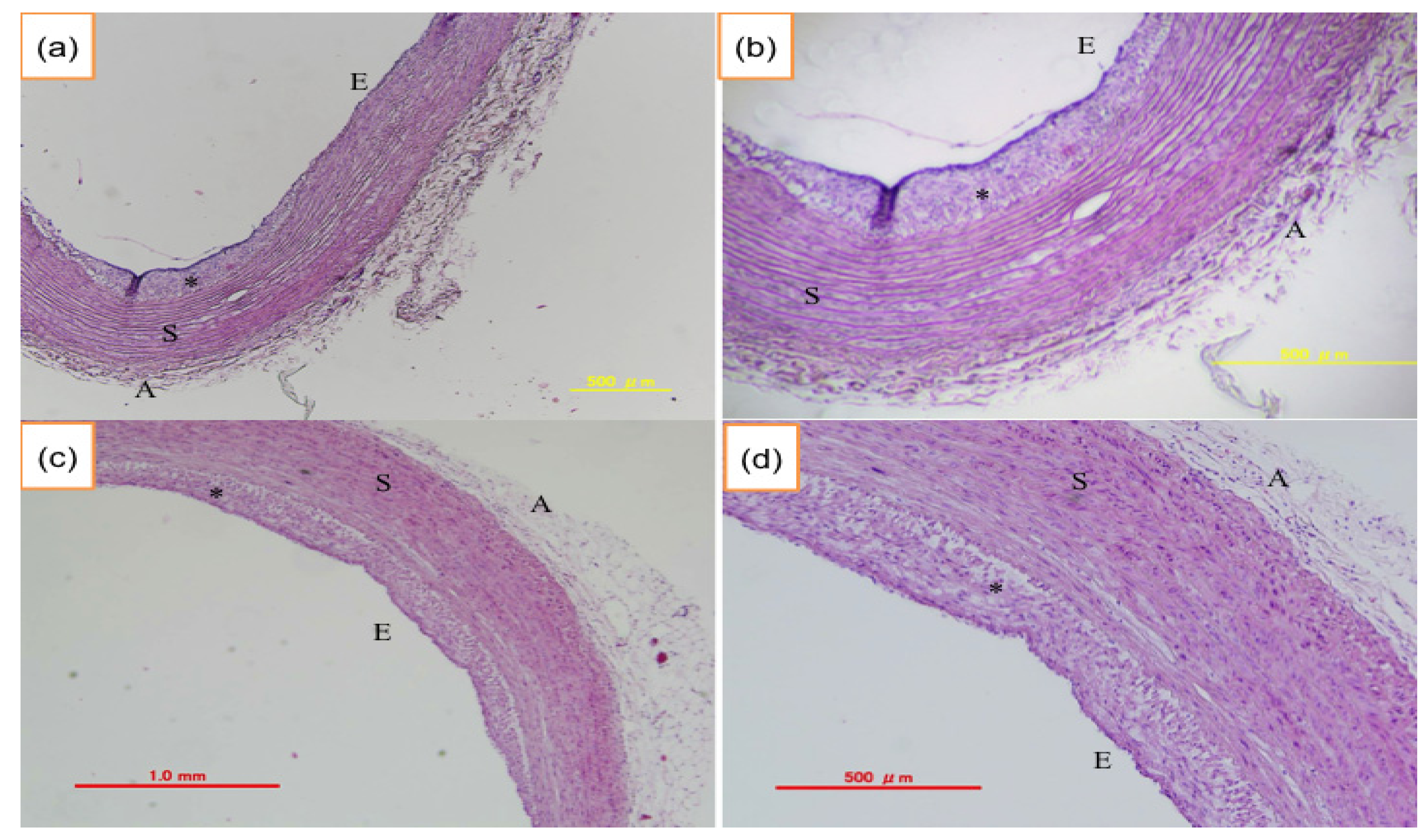 Nutrients 06 01236 g008