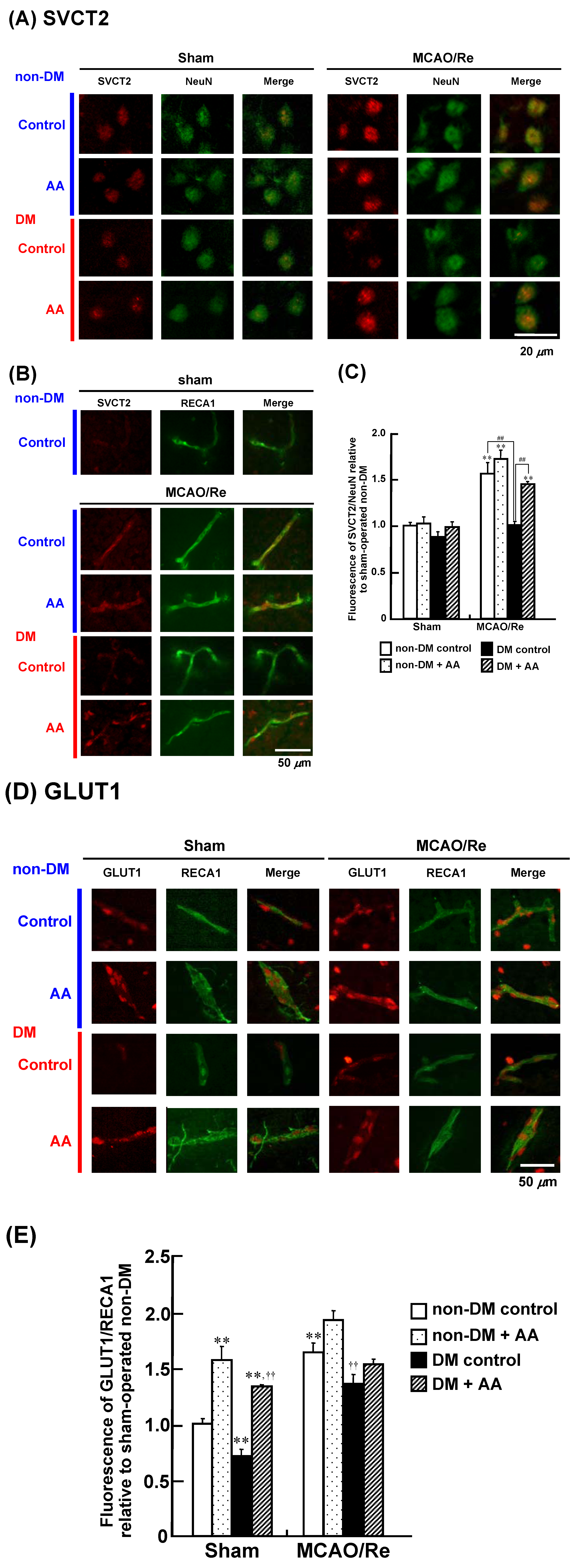 Nutrients 06 01554 g009