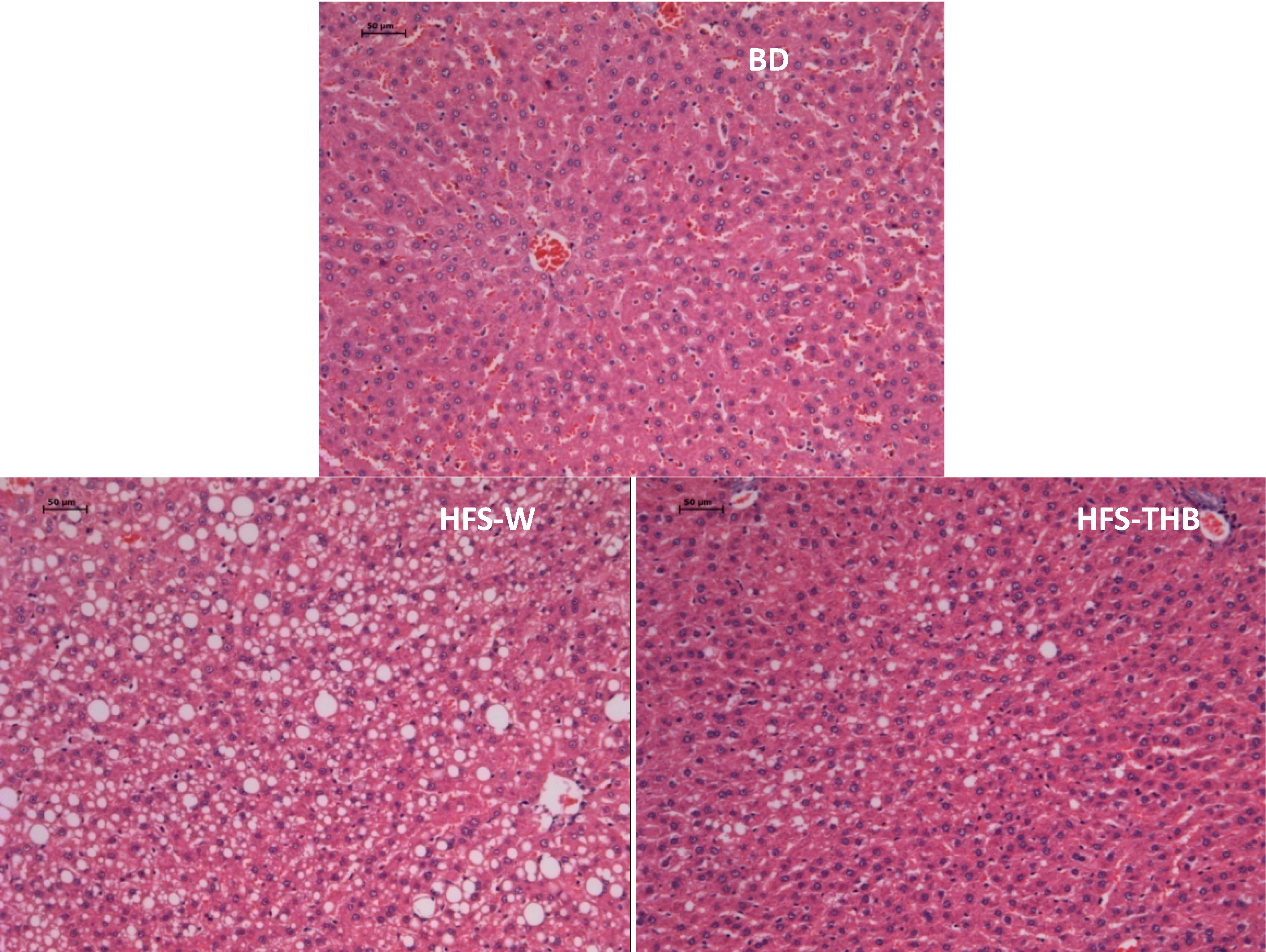 Nutrients 06 01635 g002