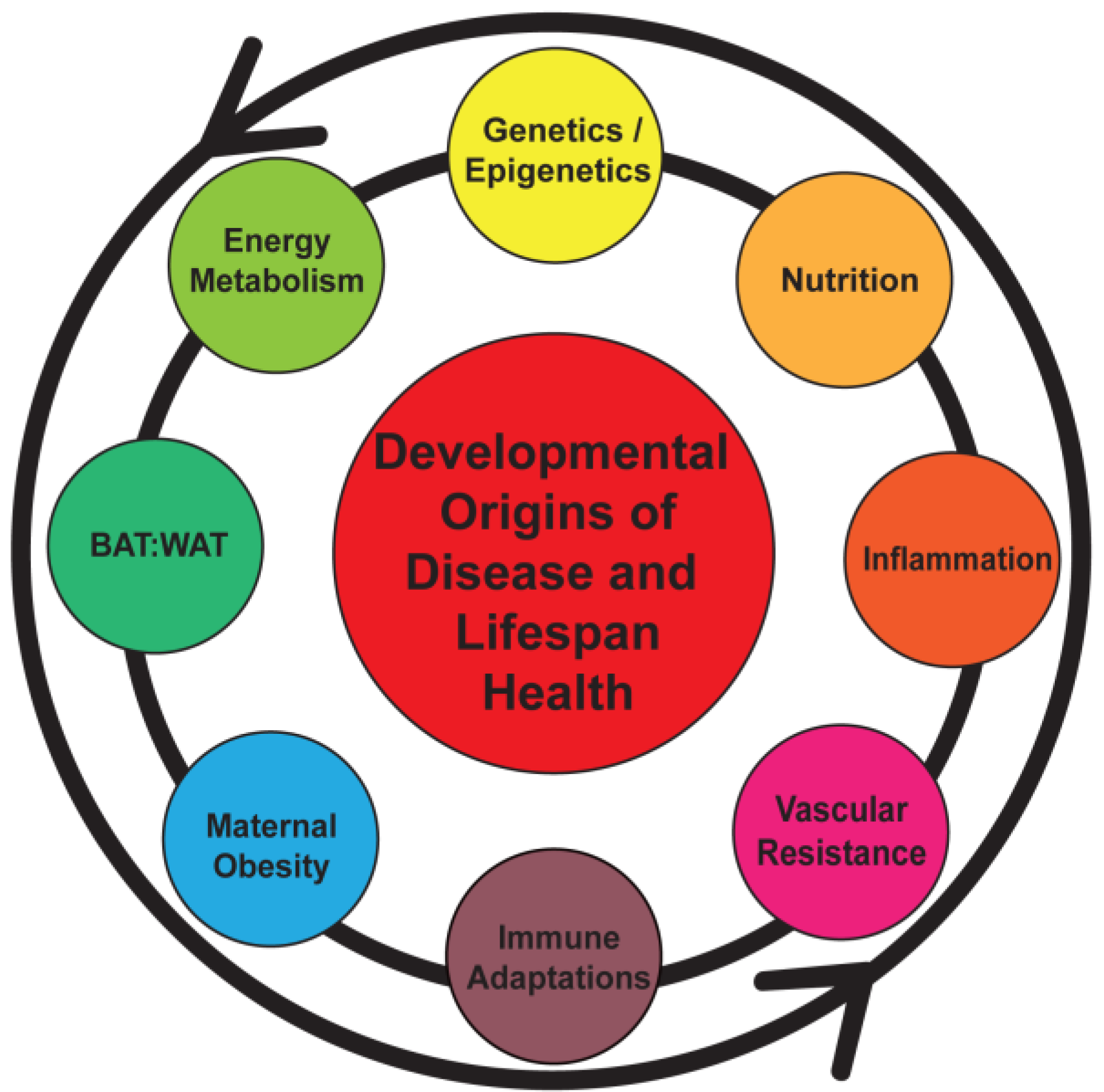 Nutrients 06 01725 g001