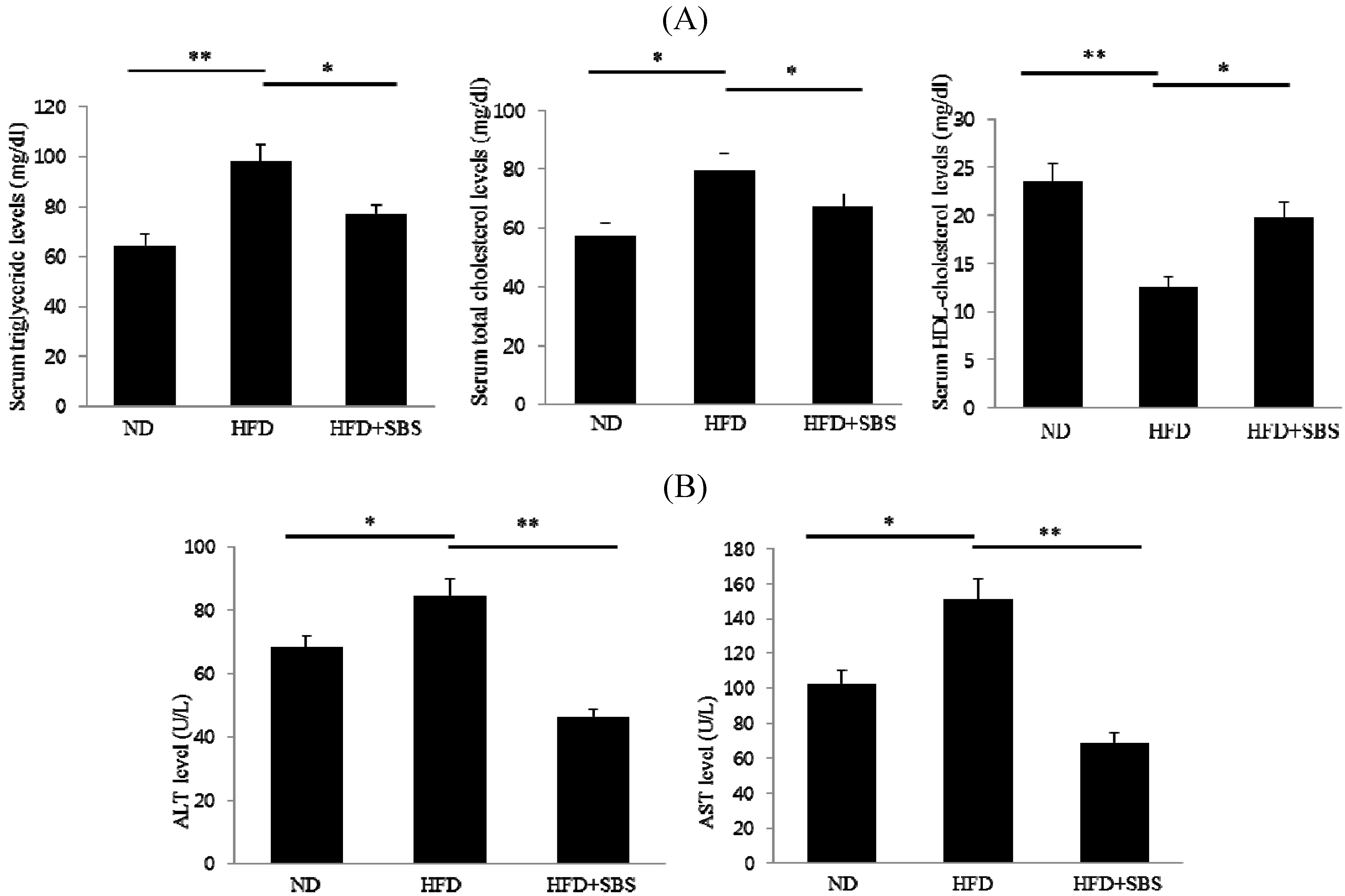 Sasa borealis Stem Extract Attenuates Hepatic Steatosis in
