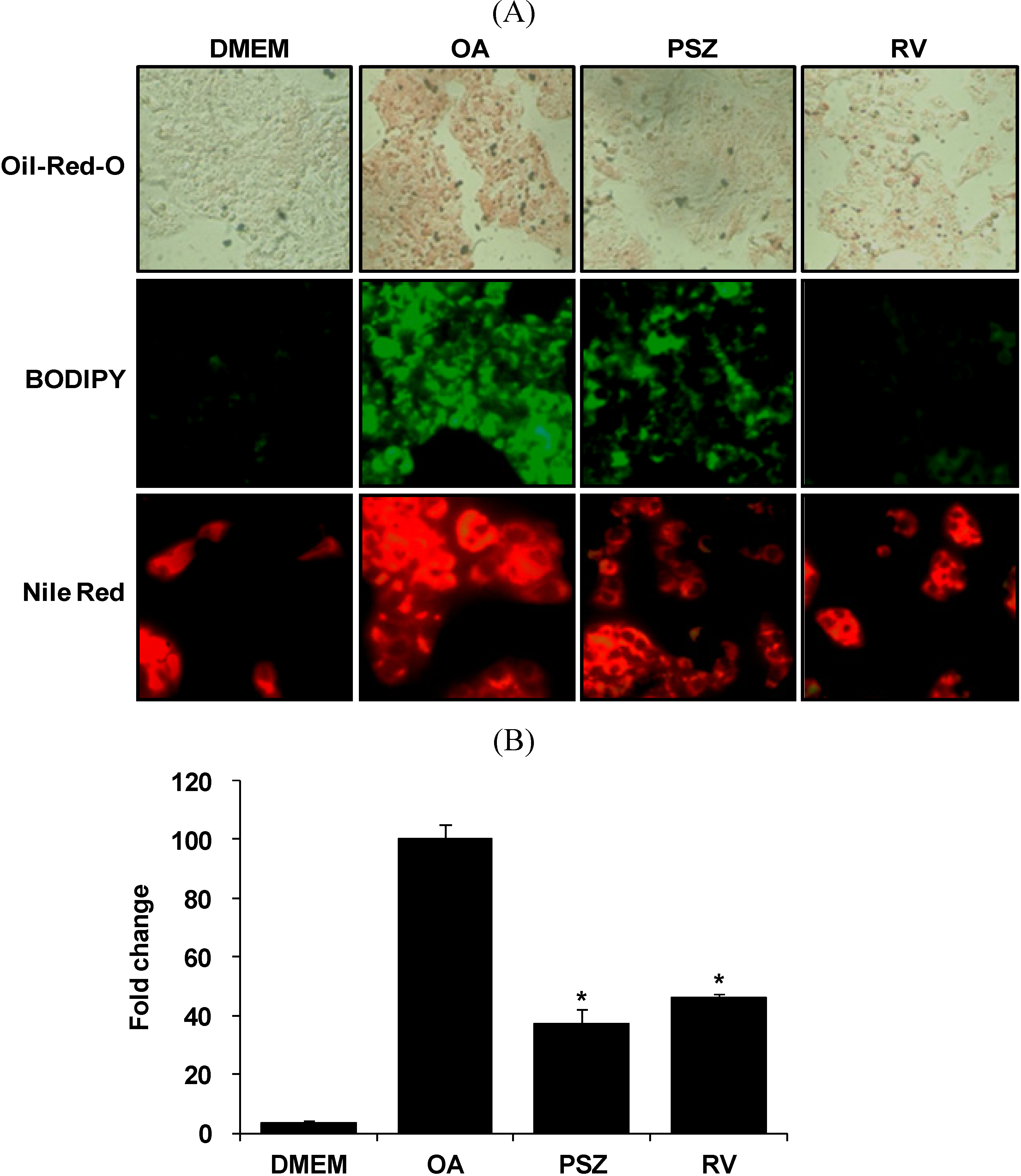 Nutrients 06 02956 g002