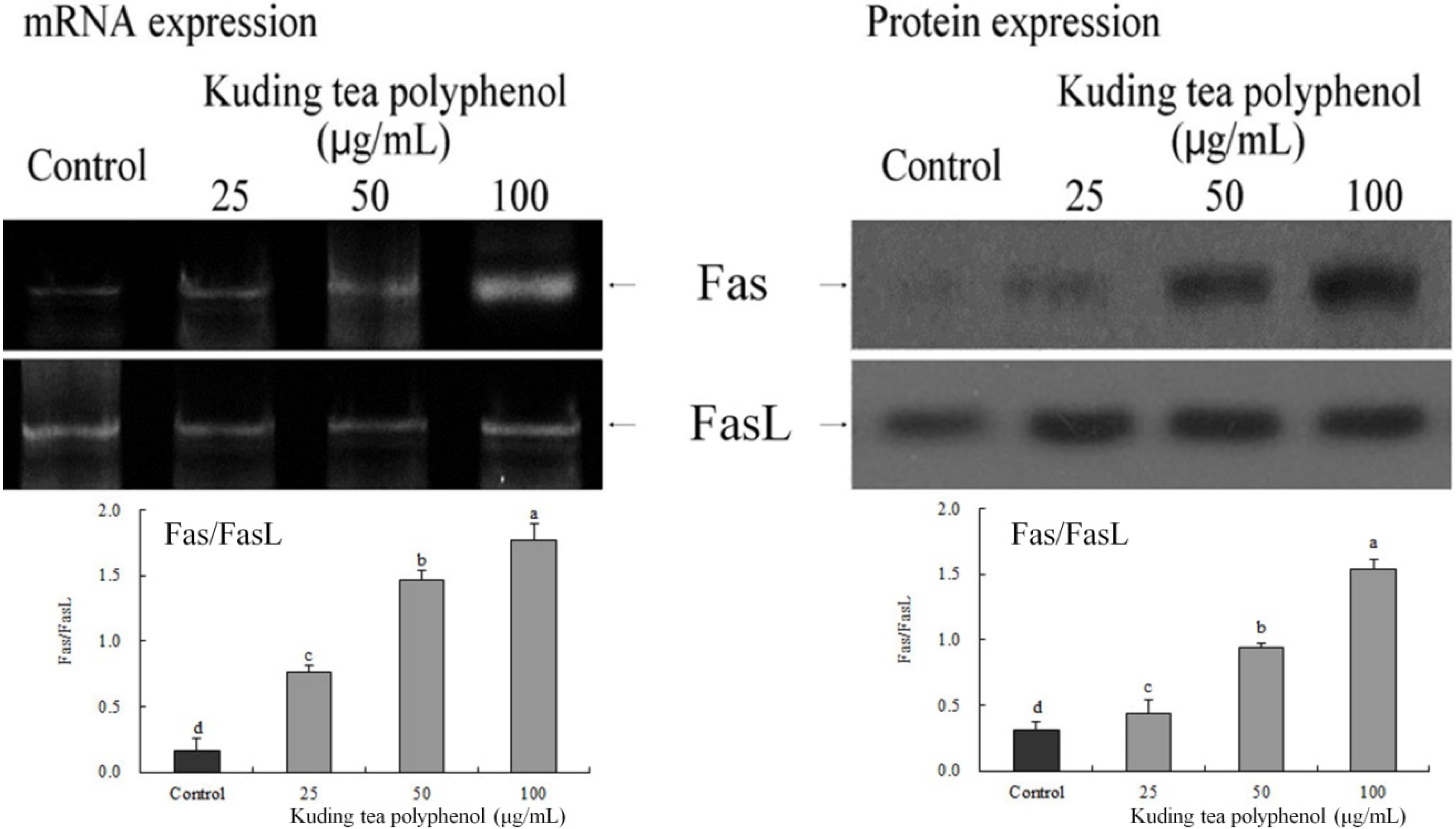 Nutrients 06 03084 g004 1024