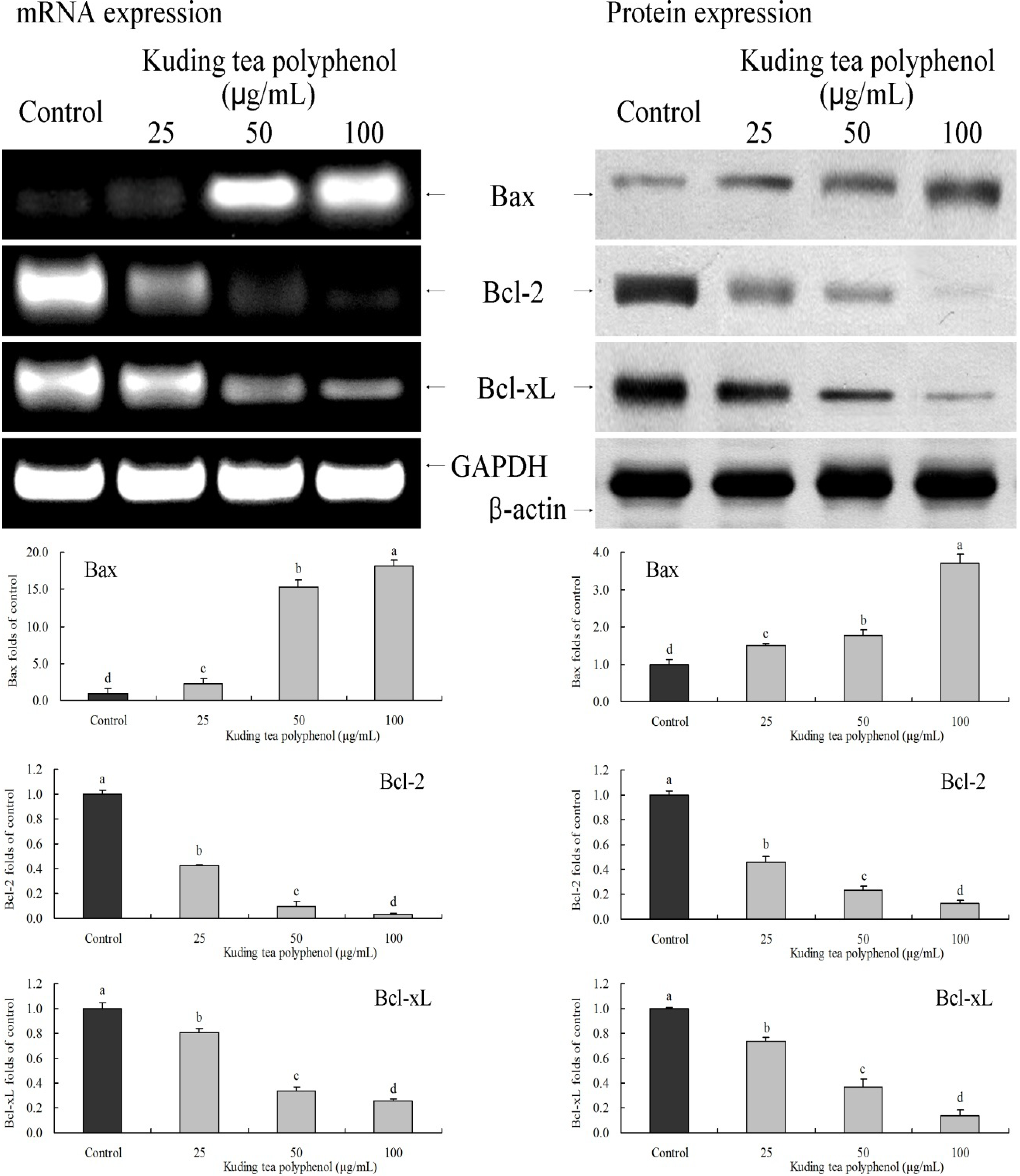 Nutrients 06 03084 g005 1024