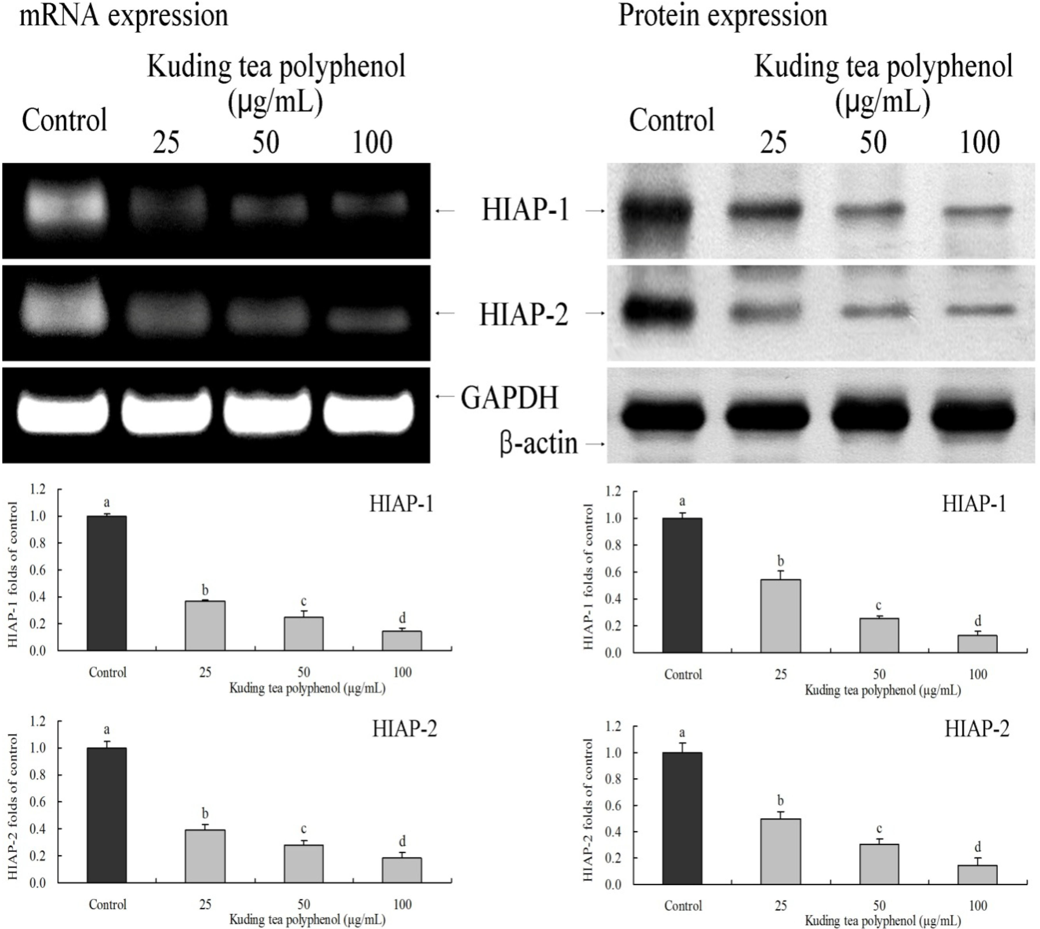 Nutrients 06 03084 g006 1024