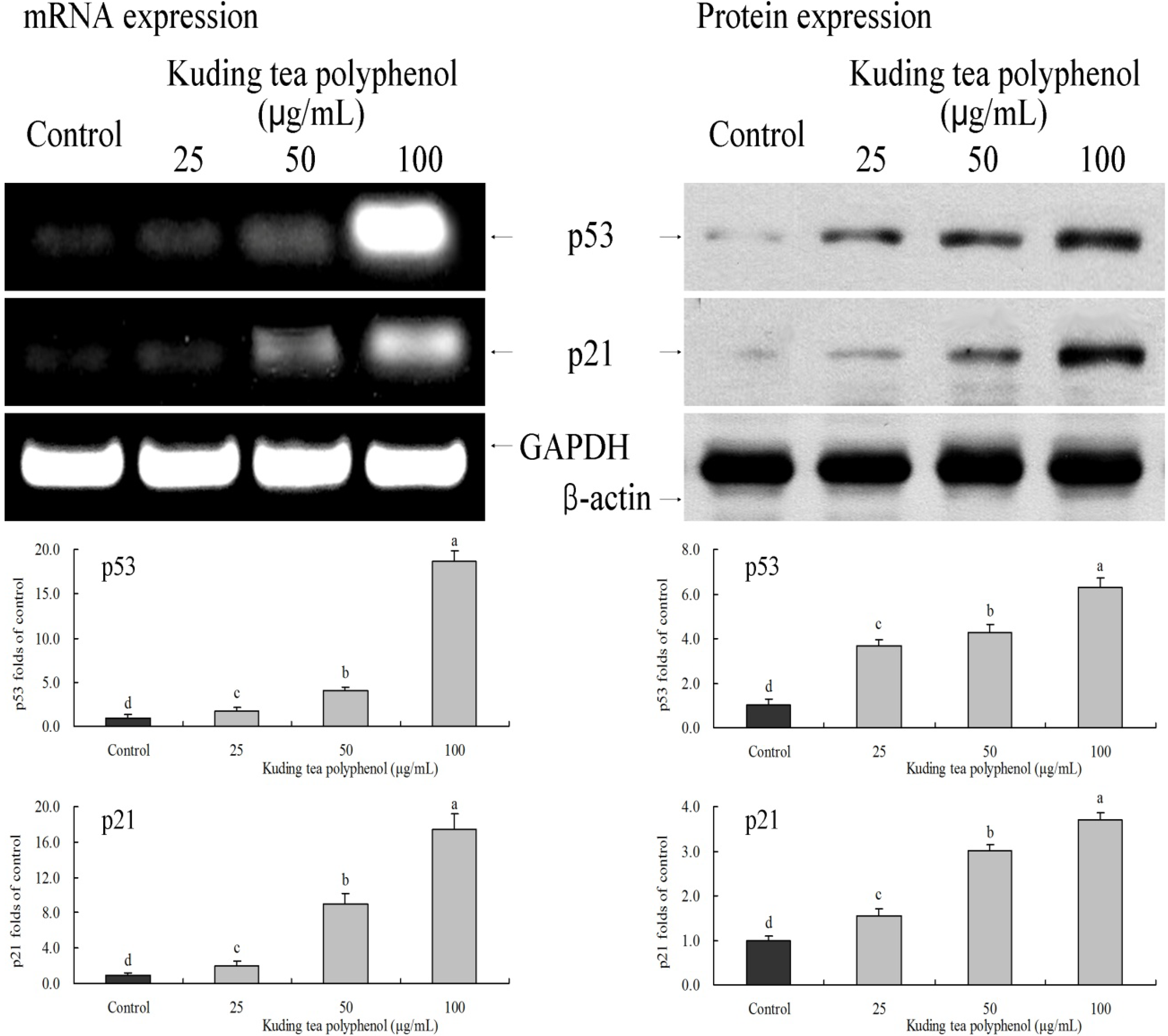 Nutrients 06 03084 g007 1024