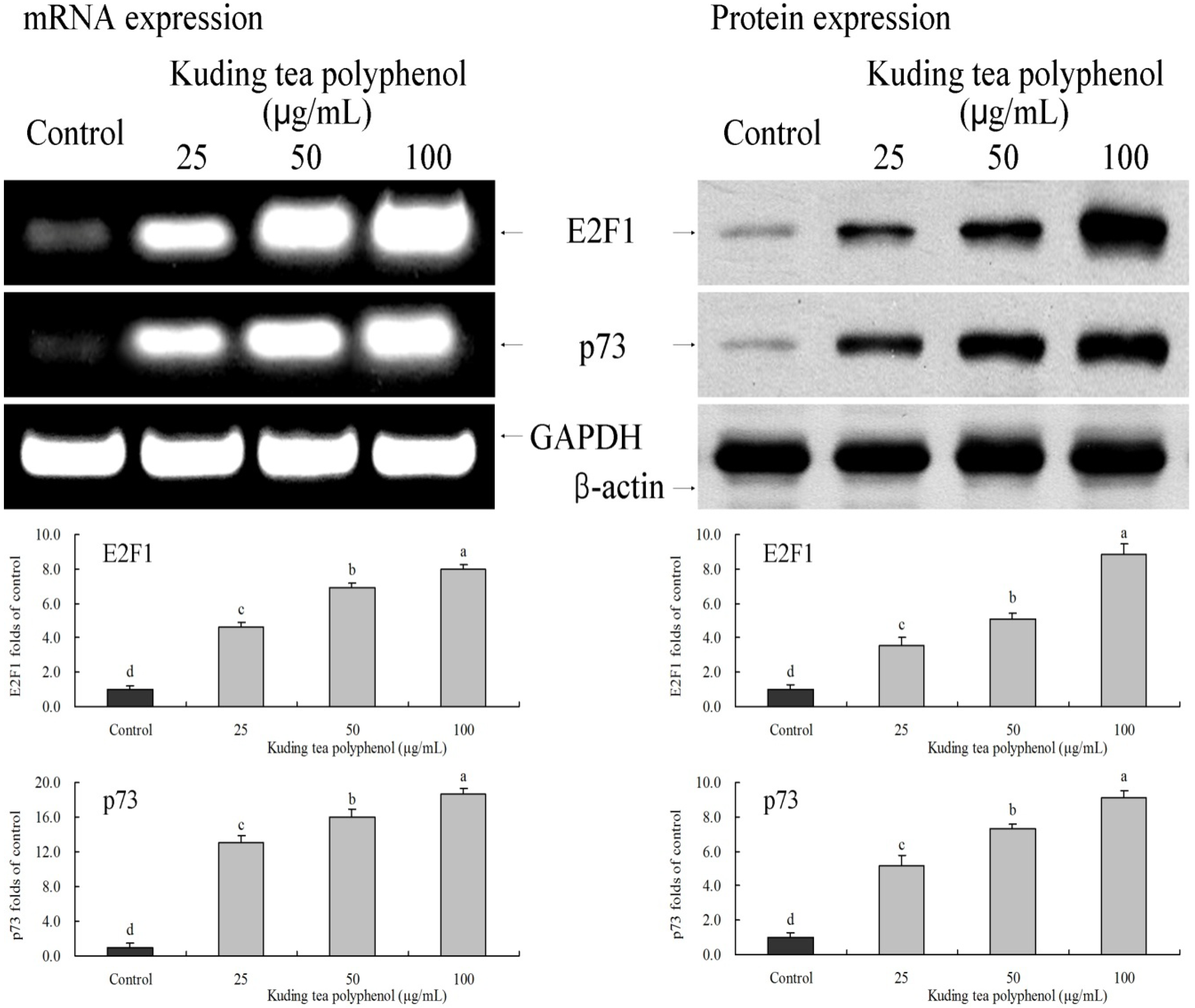 Nutrients 06 03084 g008 1024