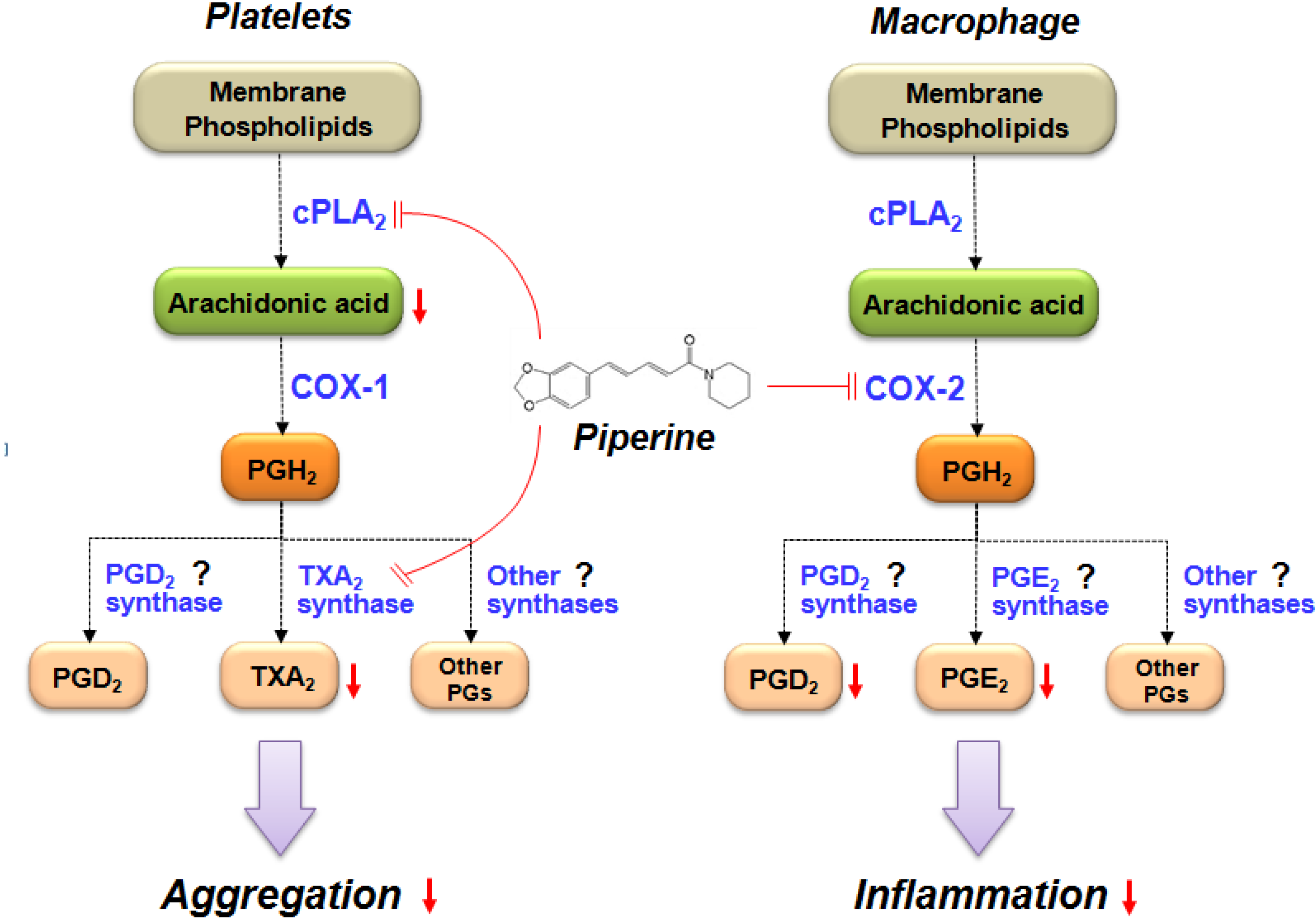 Nutrients 06 03336 g006