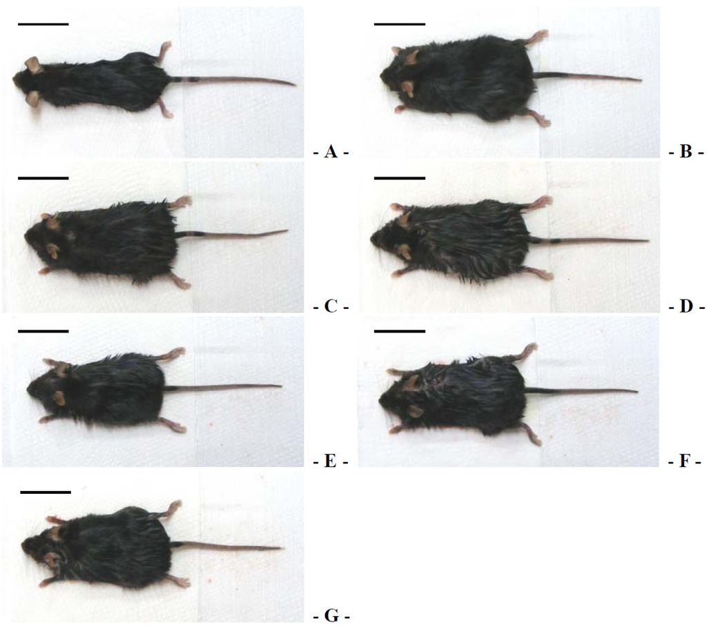 Nutrients | Free Full-Text | Fermentation with Aquilariae Lignum ...