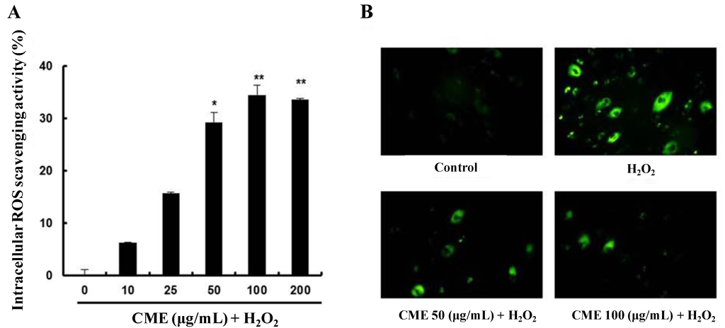 Nutrients 06 03711 g004 1024