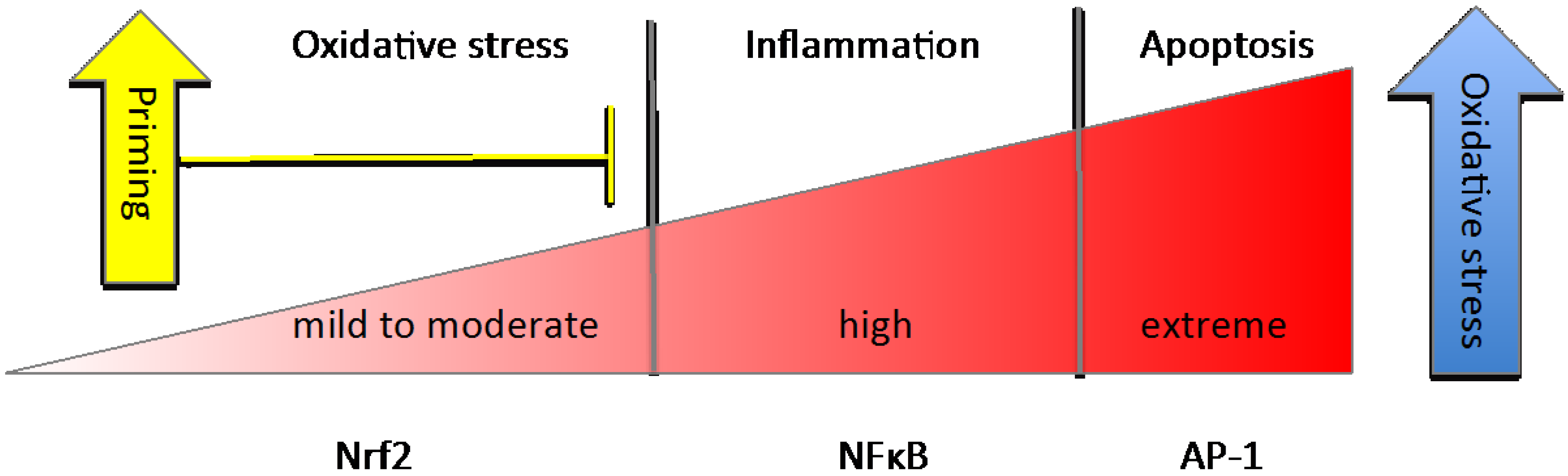 Nutrients 06 03777 g002