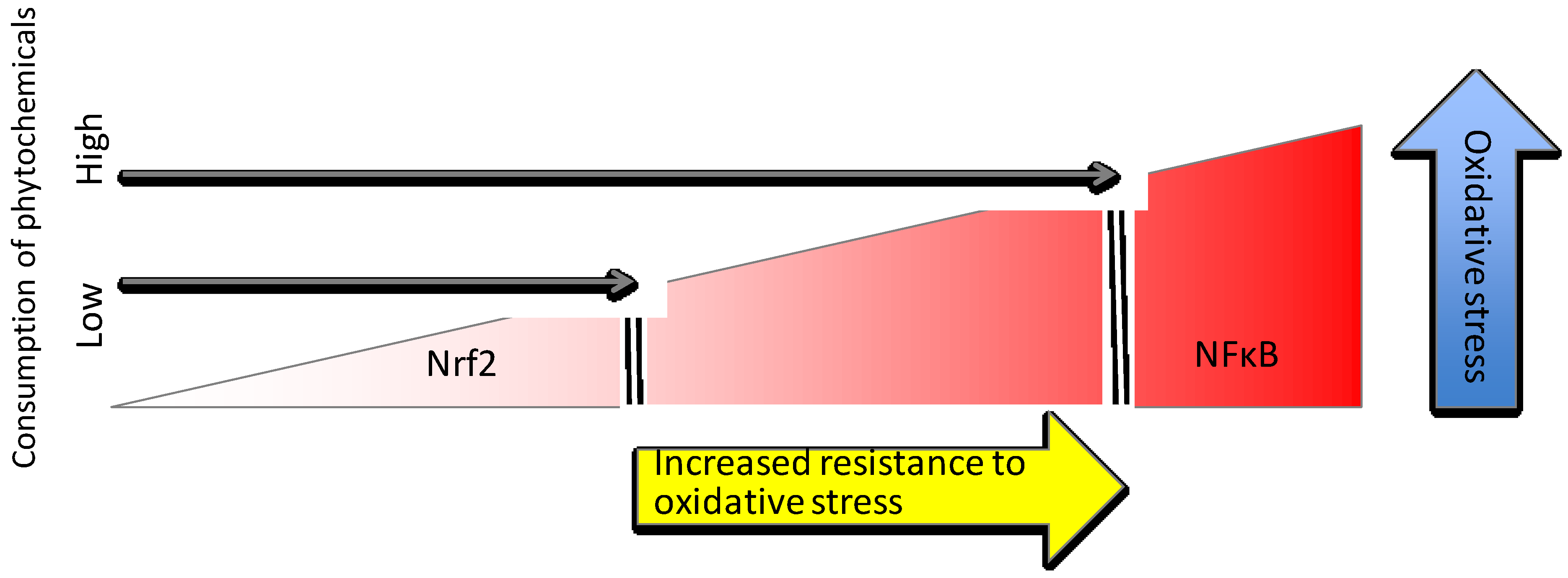 Nutrients 06 03777 g004