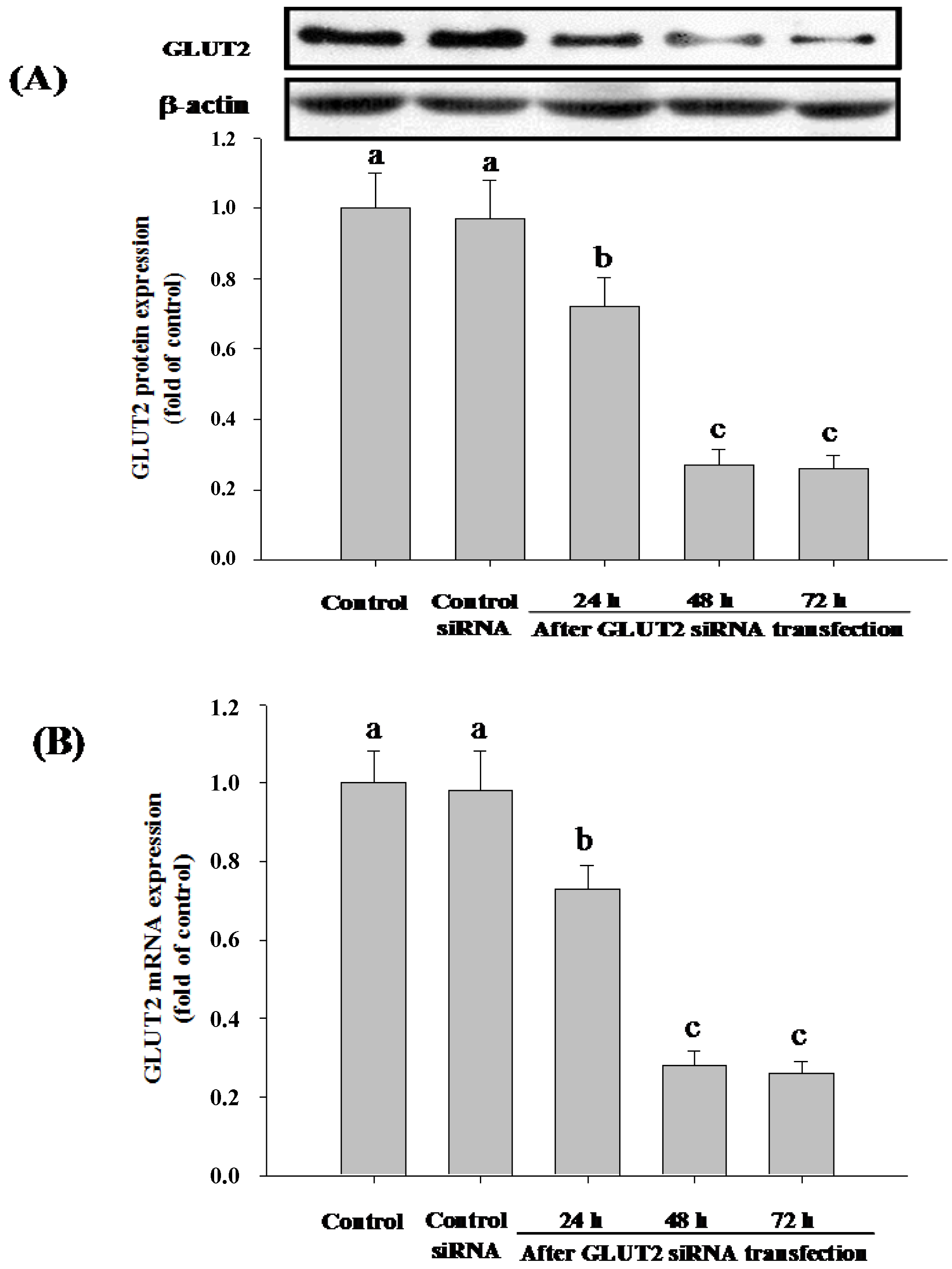 Nutrients 06 04165 g004