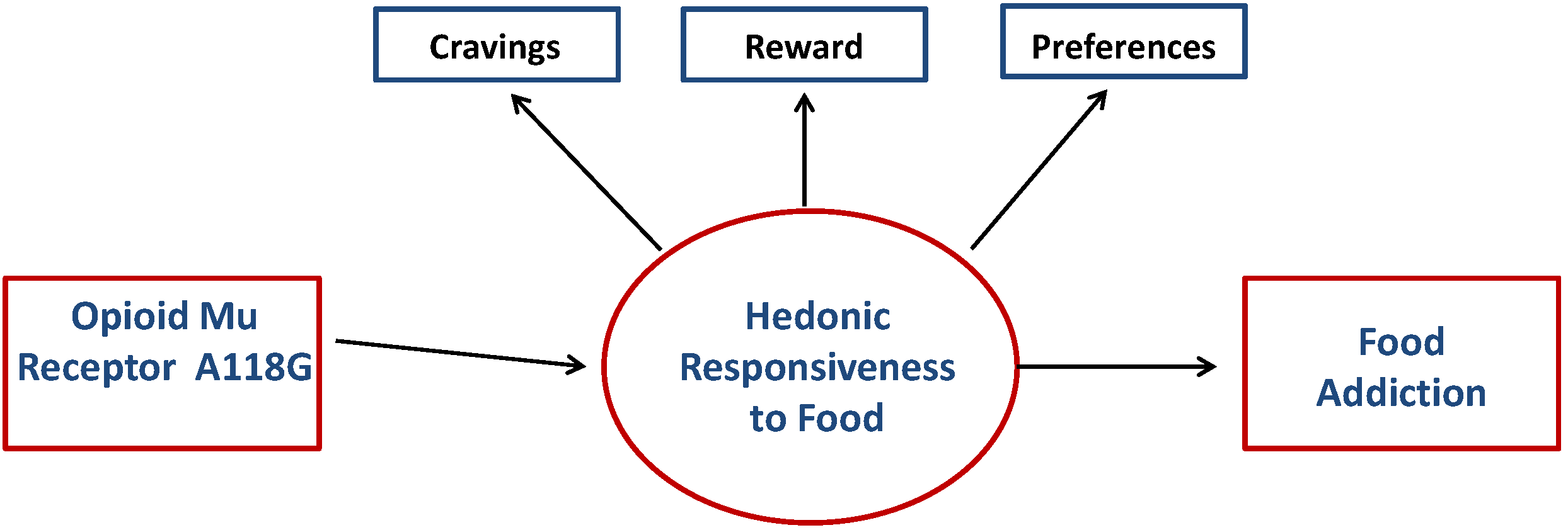 define hedonic define hedonic