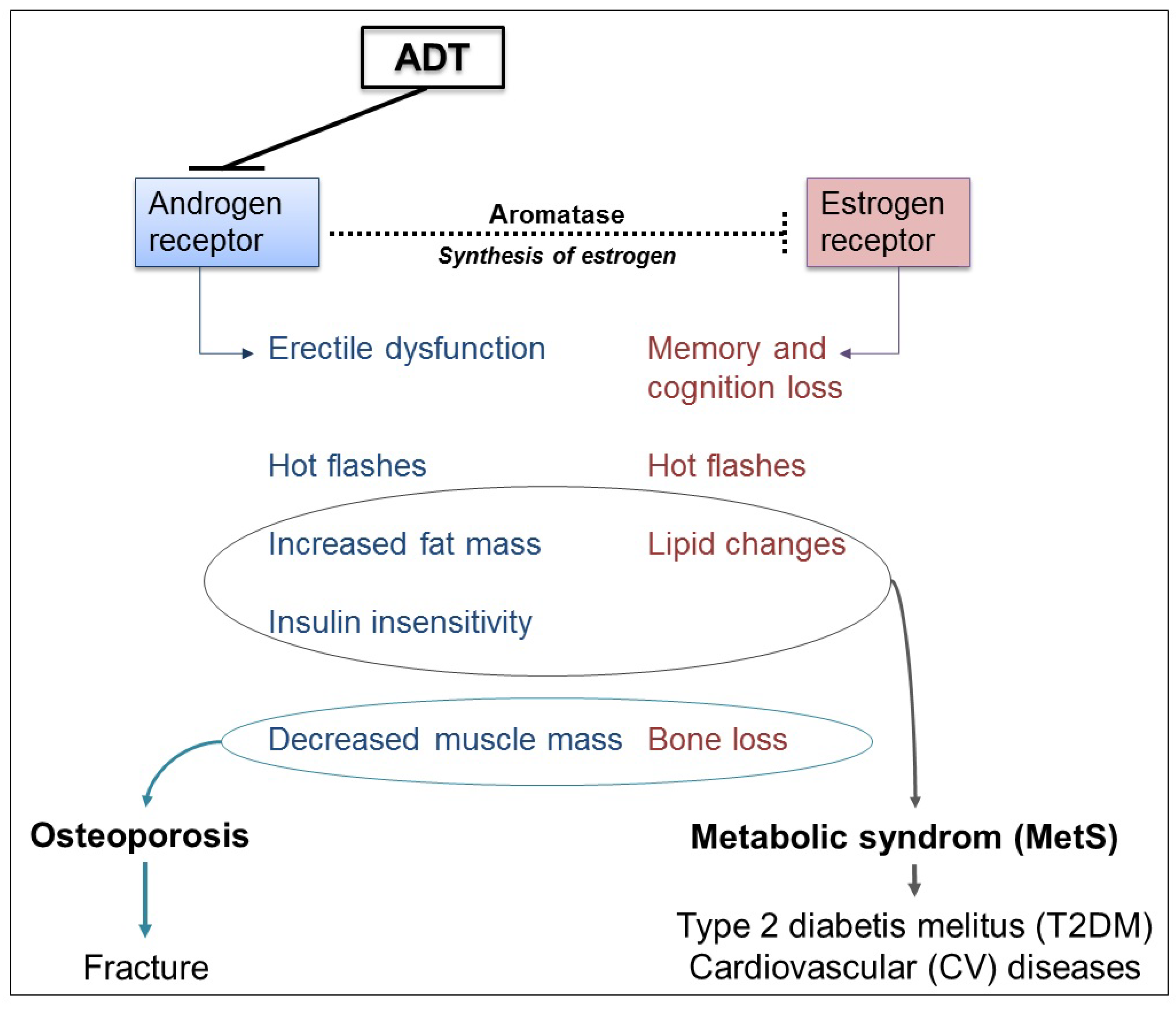 Nutrients 06 04491 g002 1024