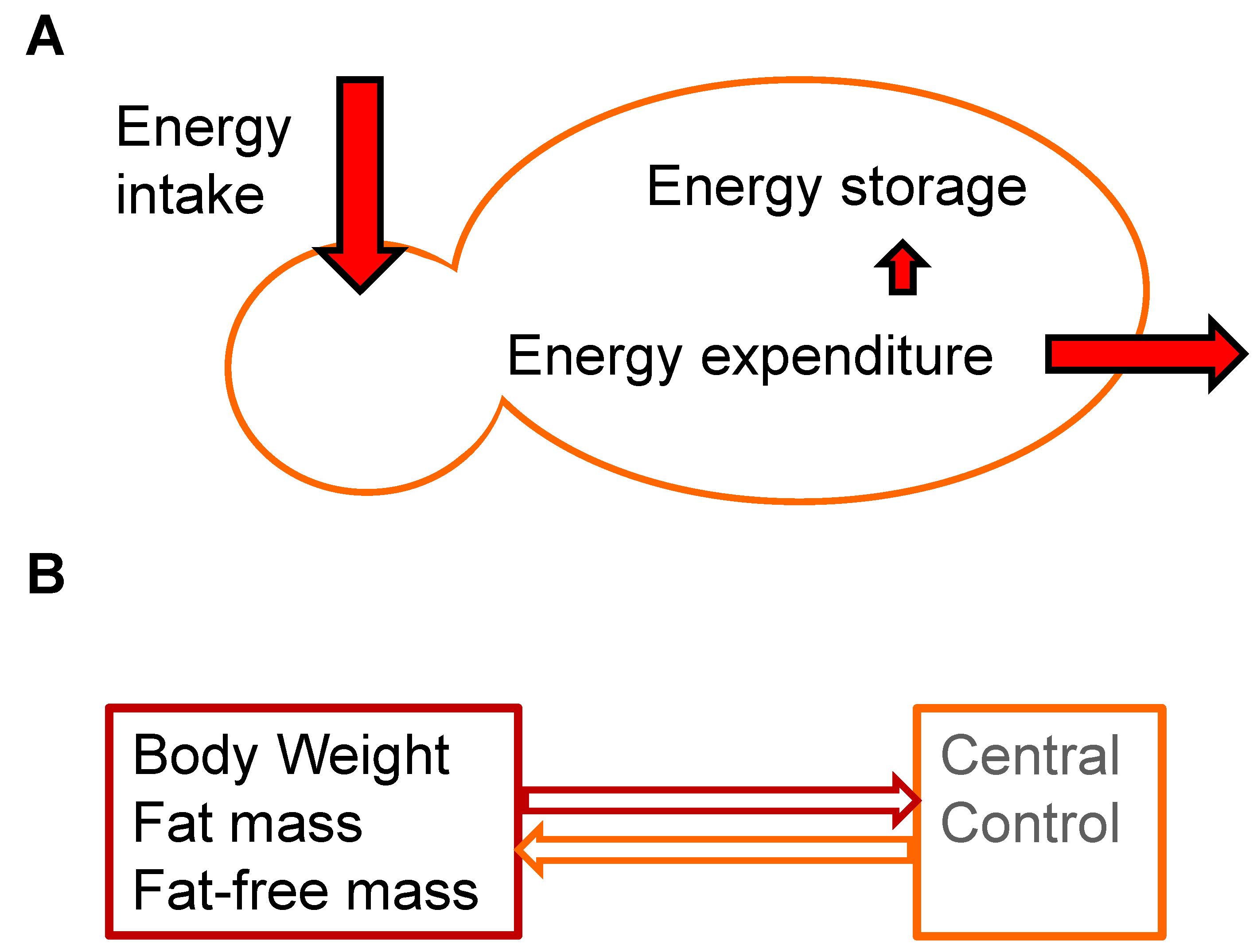227 bodyweight exercises pdf free download