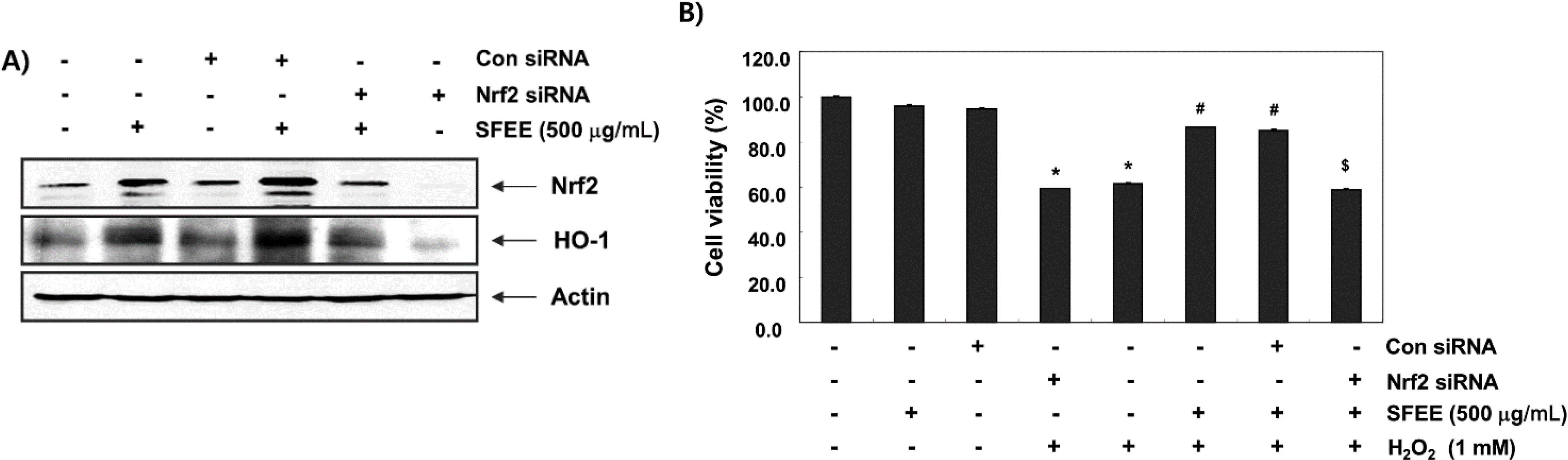 Nutrients 06 05667 g006